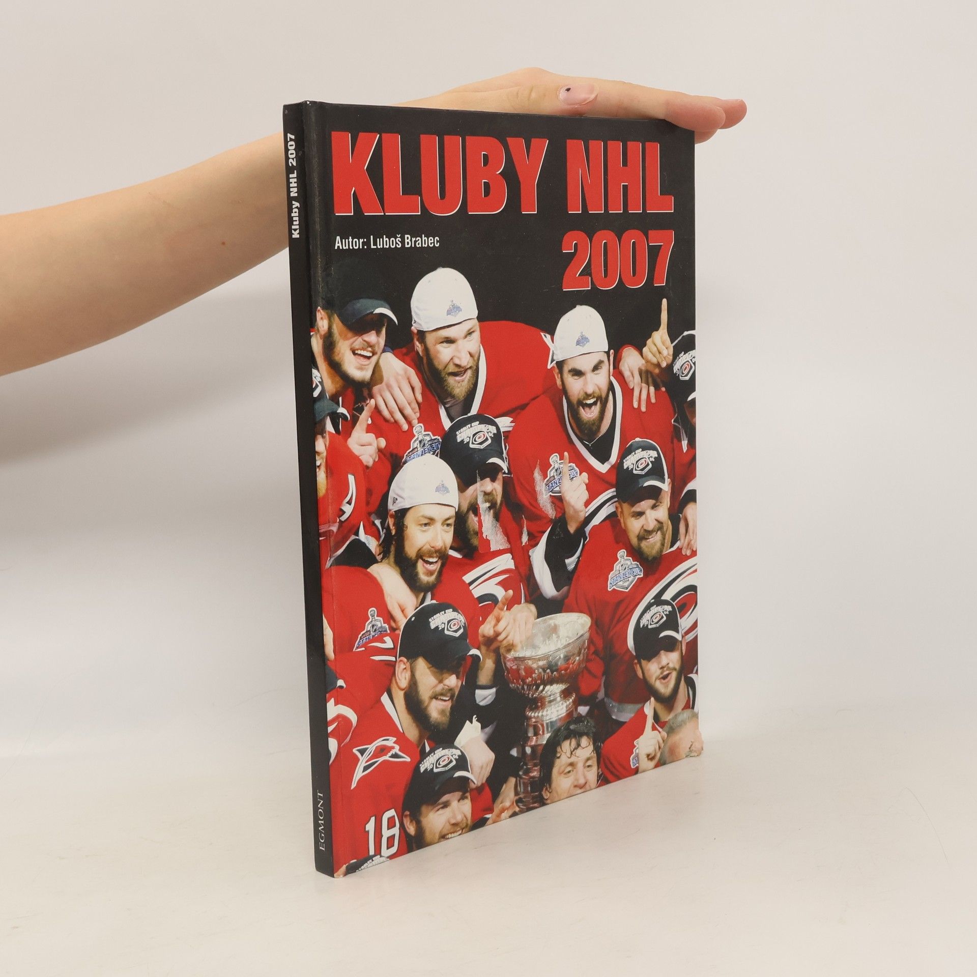Luboš Brabec Kluby NHL 2007