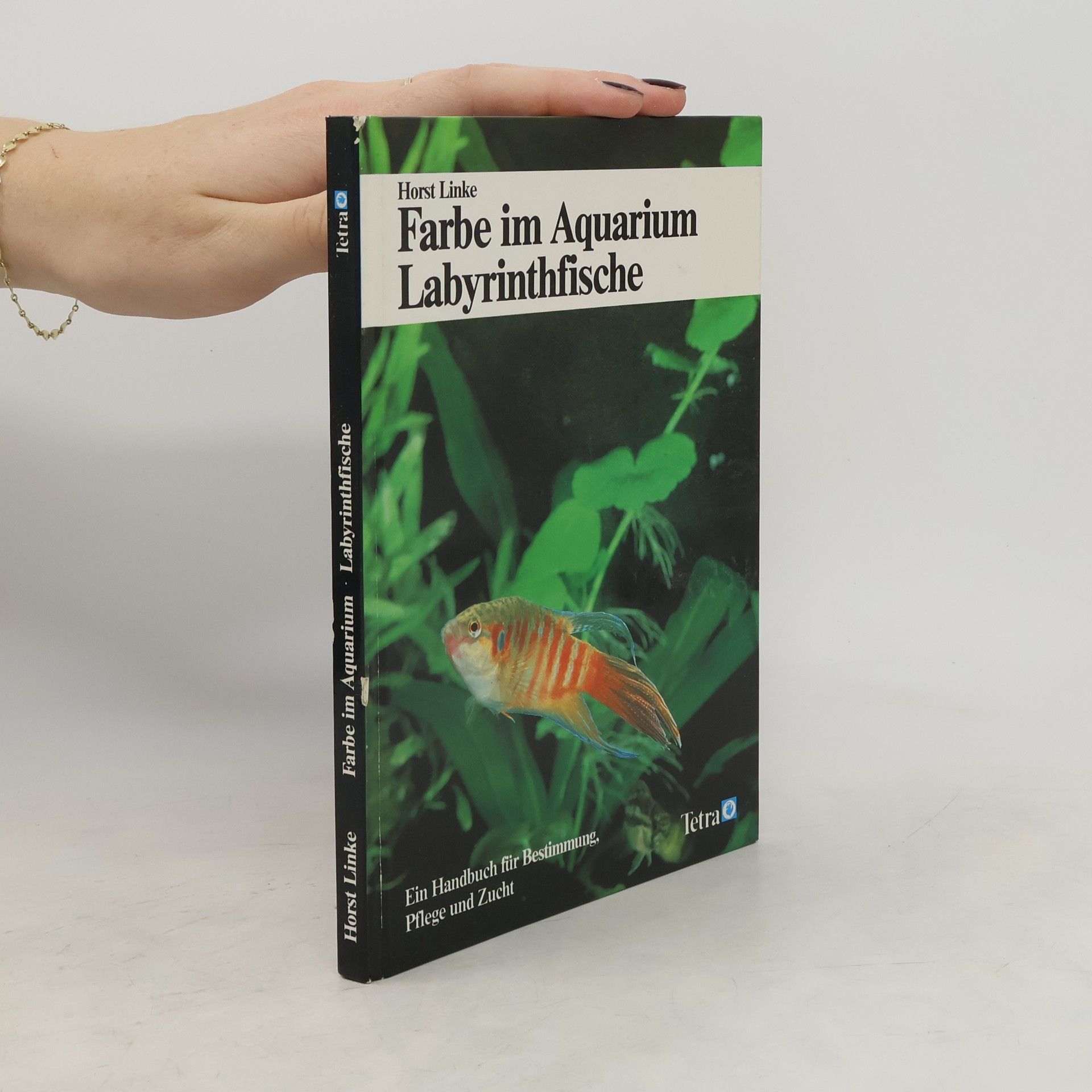 Horst Linke Farbe im Aquarium Labyrintfische