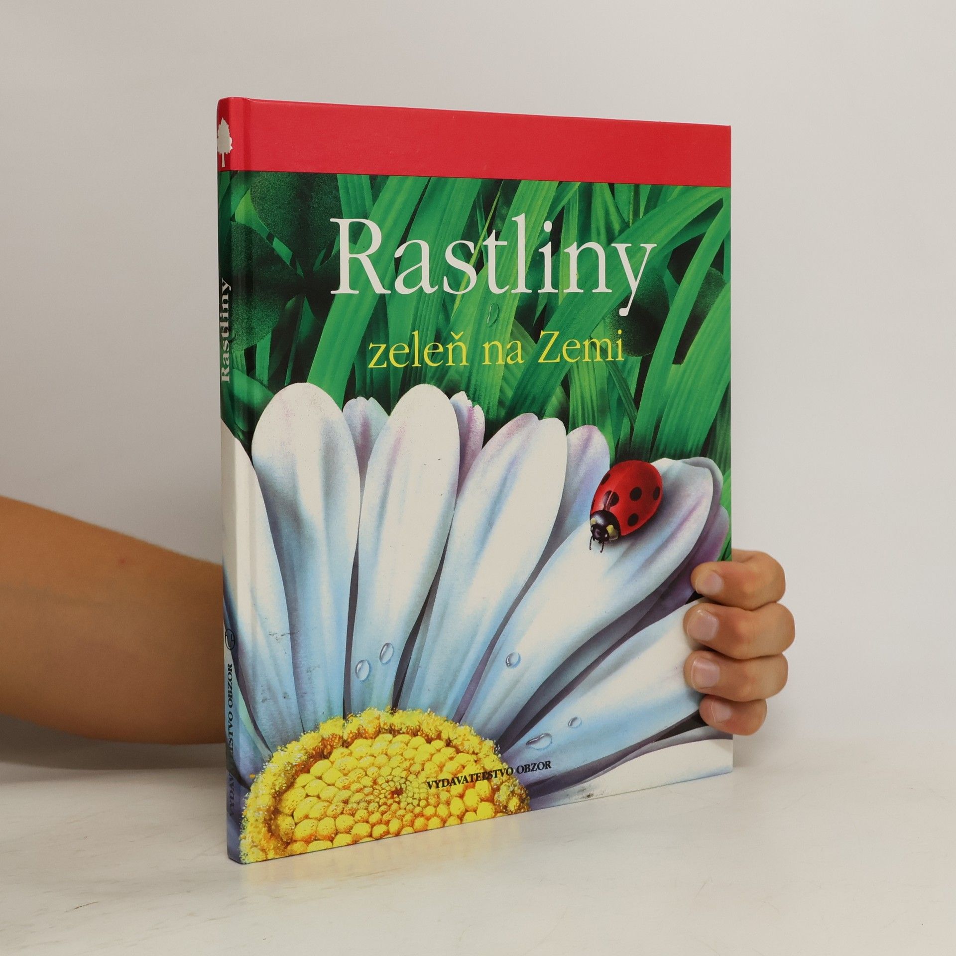 Collective Rastlinky zeleň na zemi