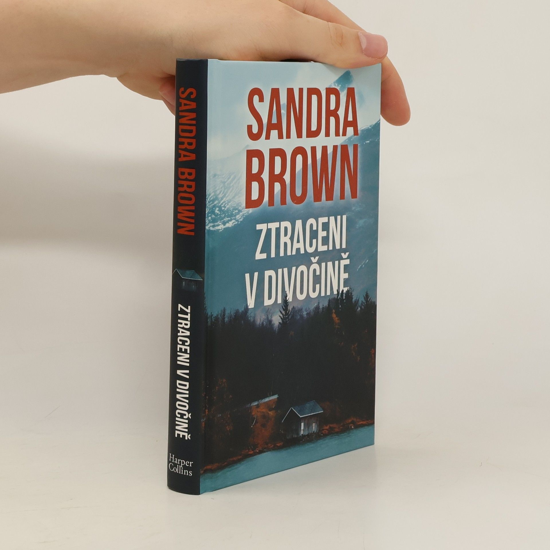 Sandra Brown Ztraceni v divočině