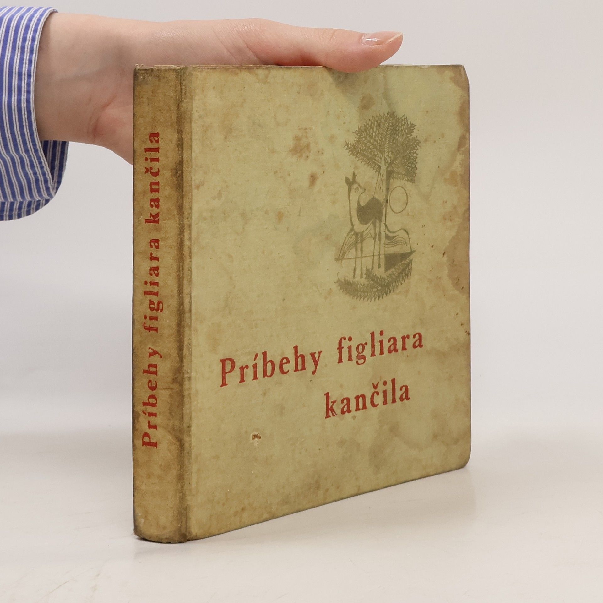 kolektiv Príbehy figliara kančila