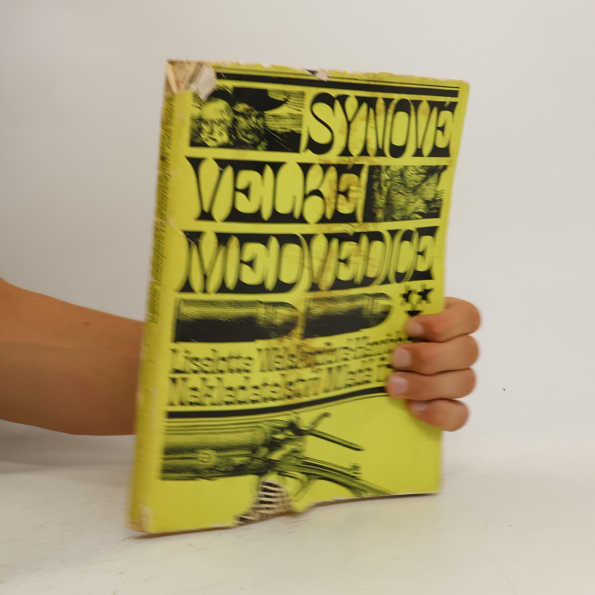 Elisabeth Charlotte Henrich Synové Velké medvědice
