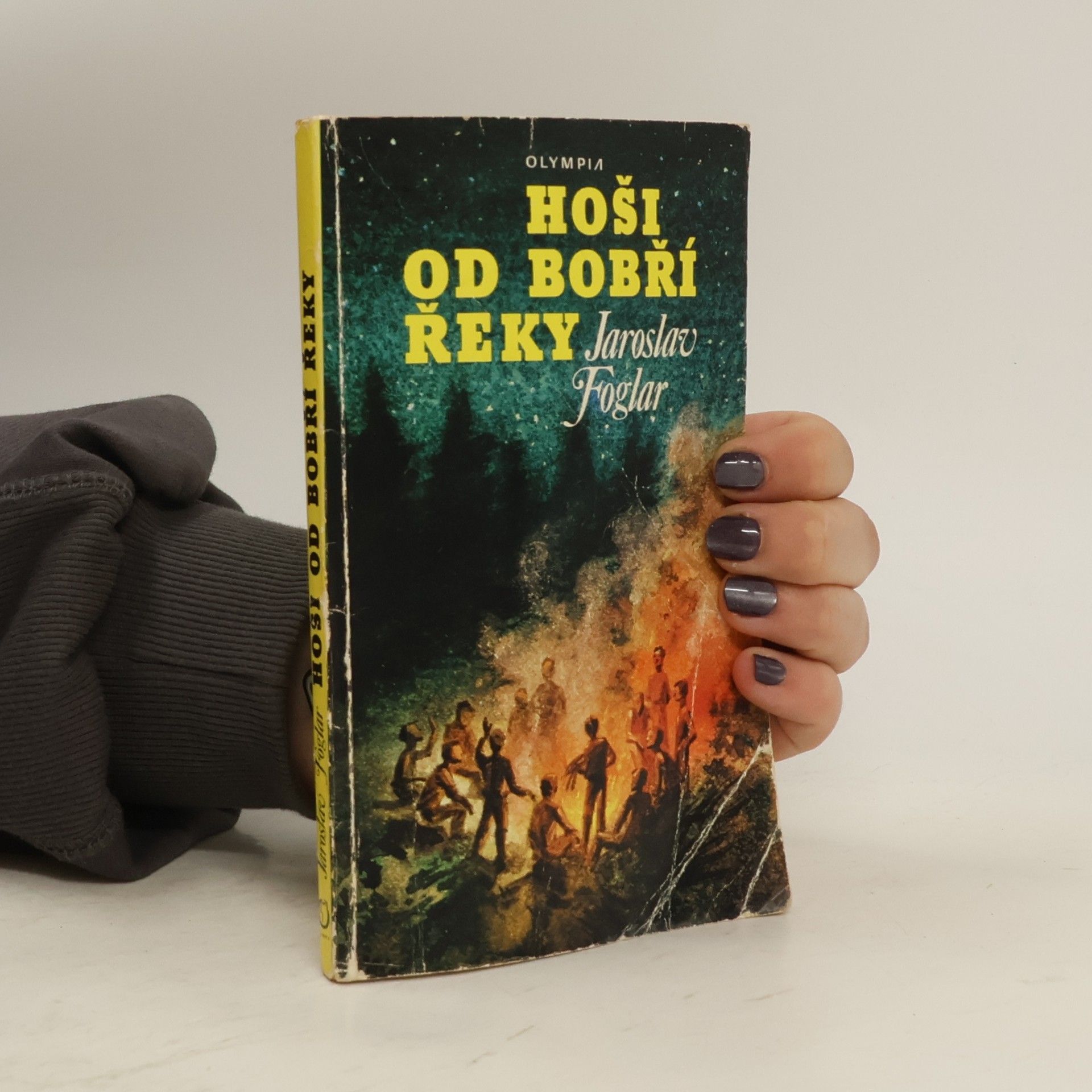 Jaroslav Foglar Hoši od Bobří řeky