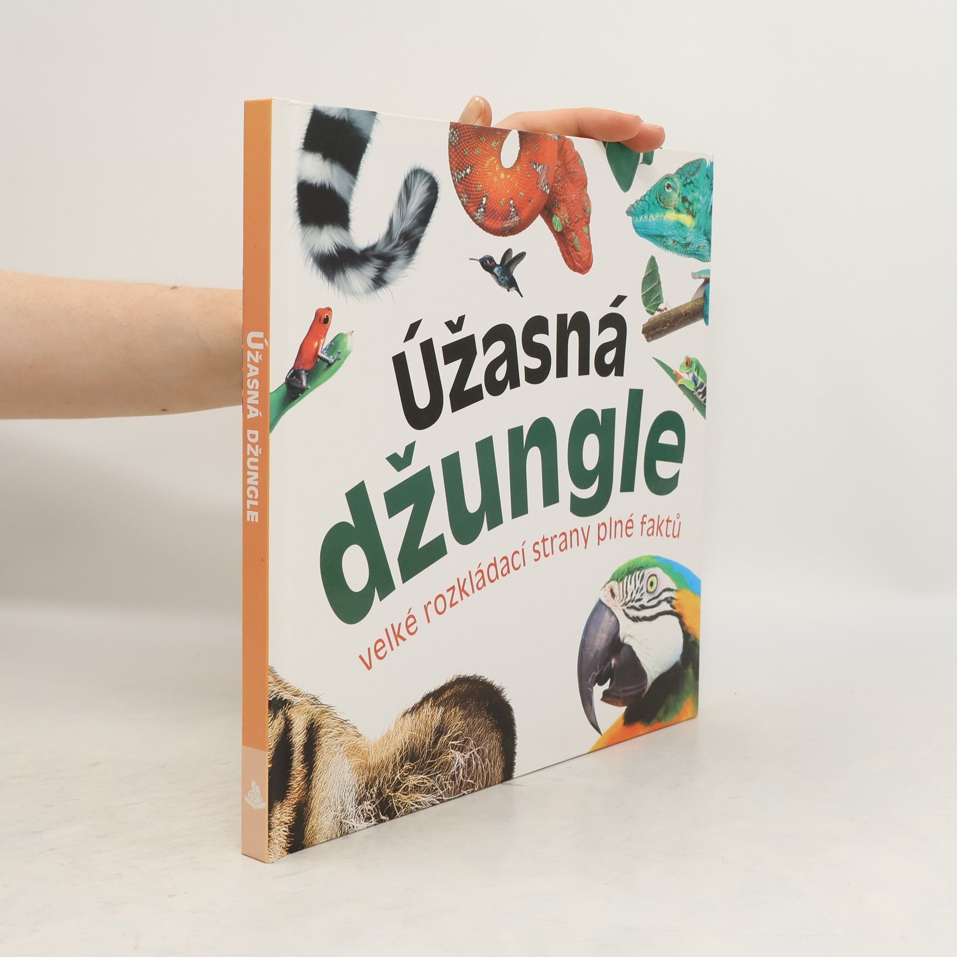 Marek Kurta Úžasná džungle : velké rozkládací strany plné faktů