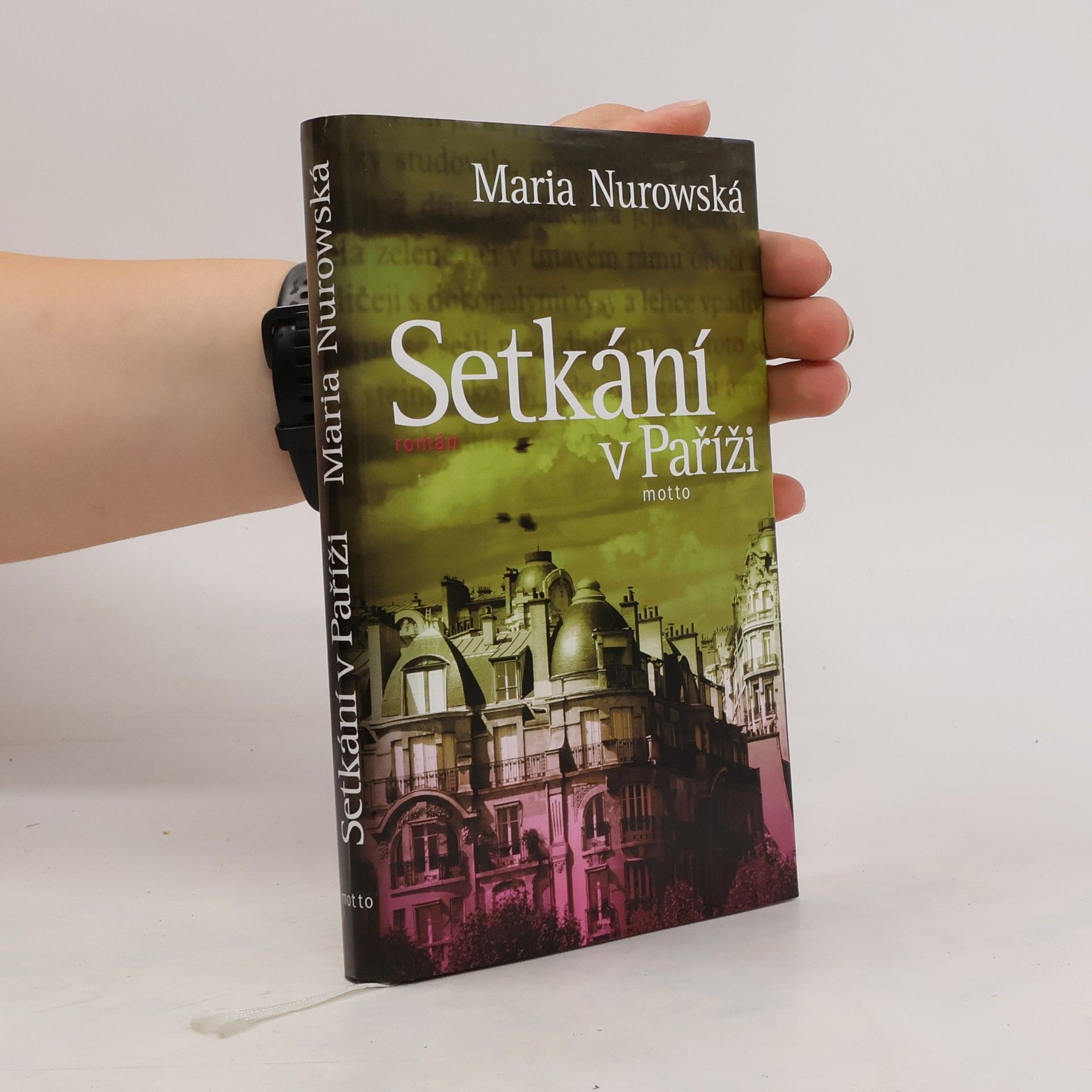Maria Nurowska Setkání v Paříži