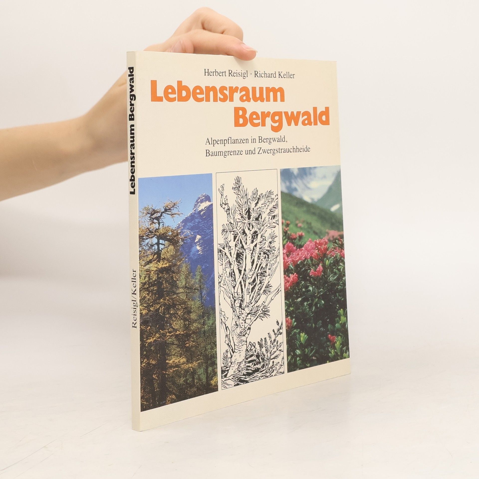 Herbert Reisigl Lebensraum Bergwald