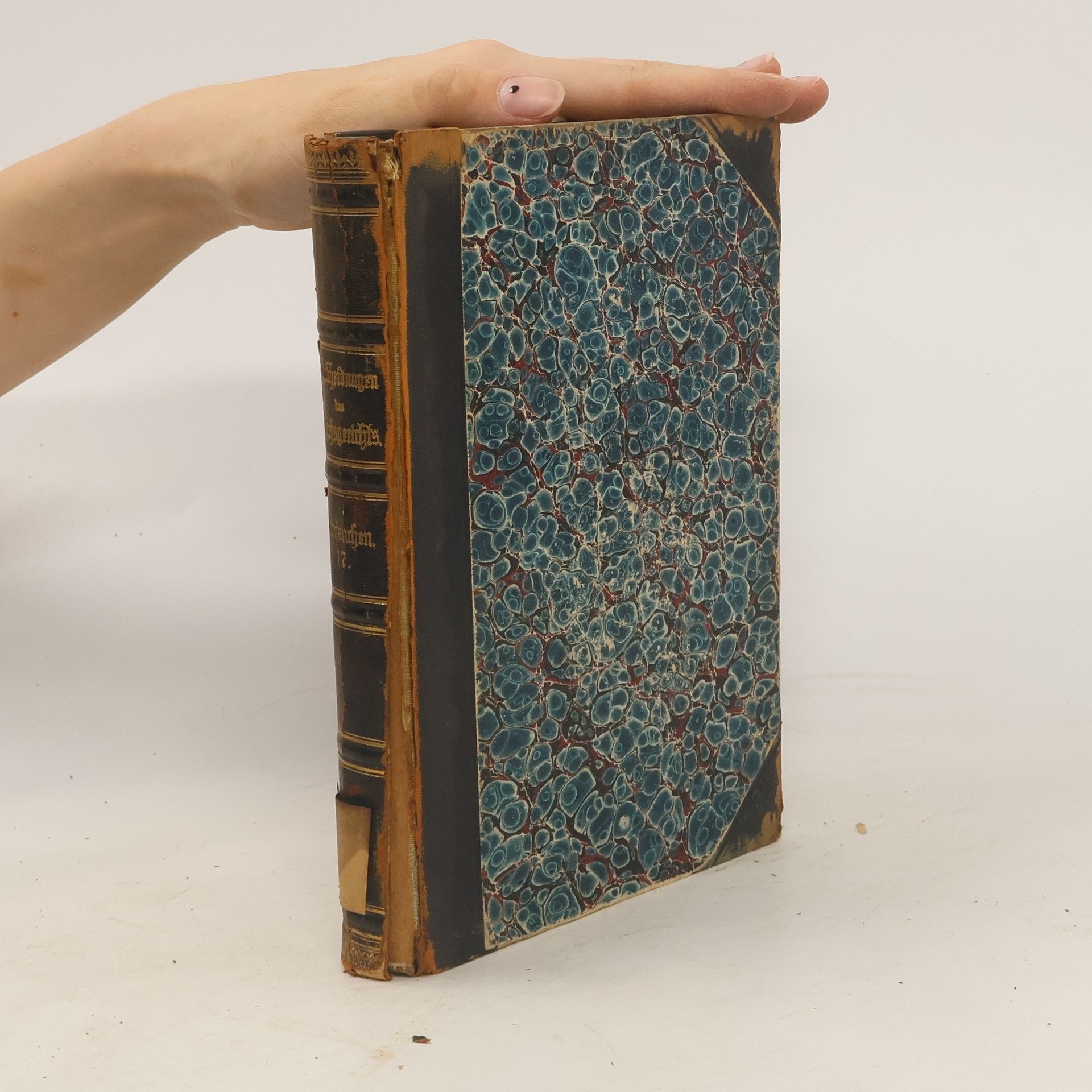 Collectif d'auteurs Entscheidungen Reichsgerichts in Strafsachen 17