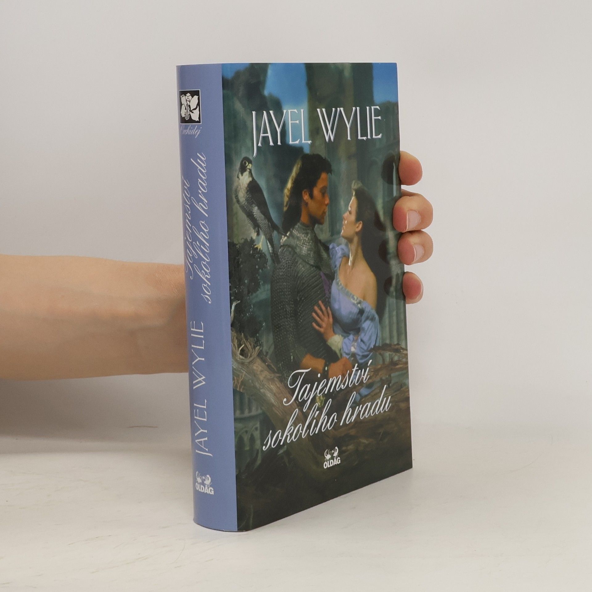 Jayel Wylie Tajemství sokolího hradu