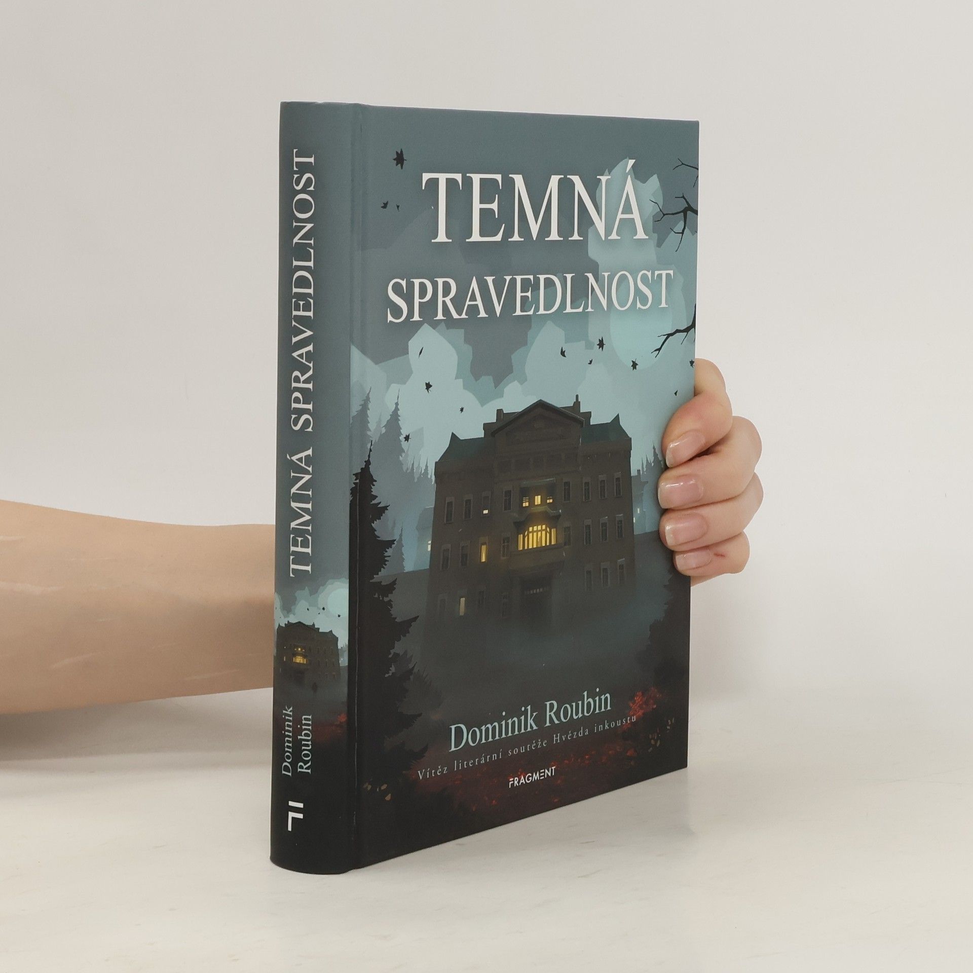 Dominik Roubin Temná spravedlnost