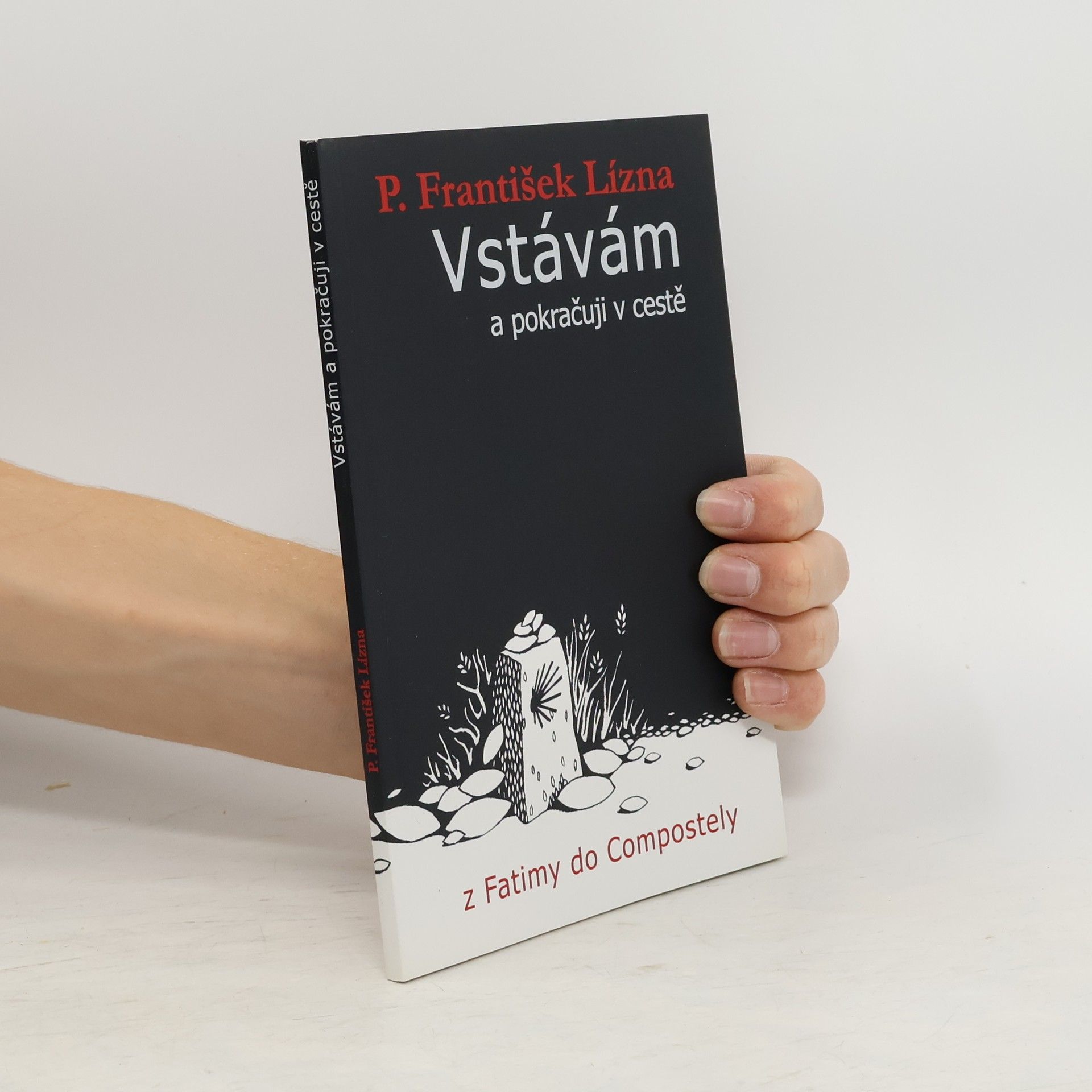 František Lízna Vstávám a pokračuji v cestě