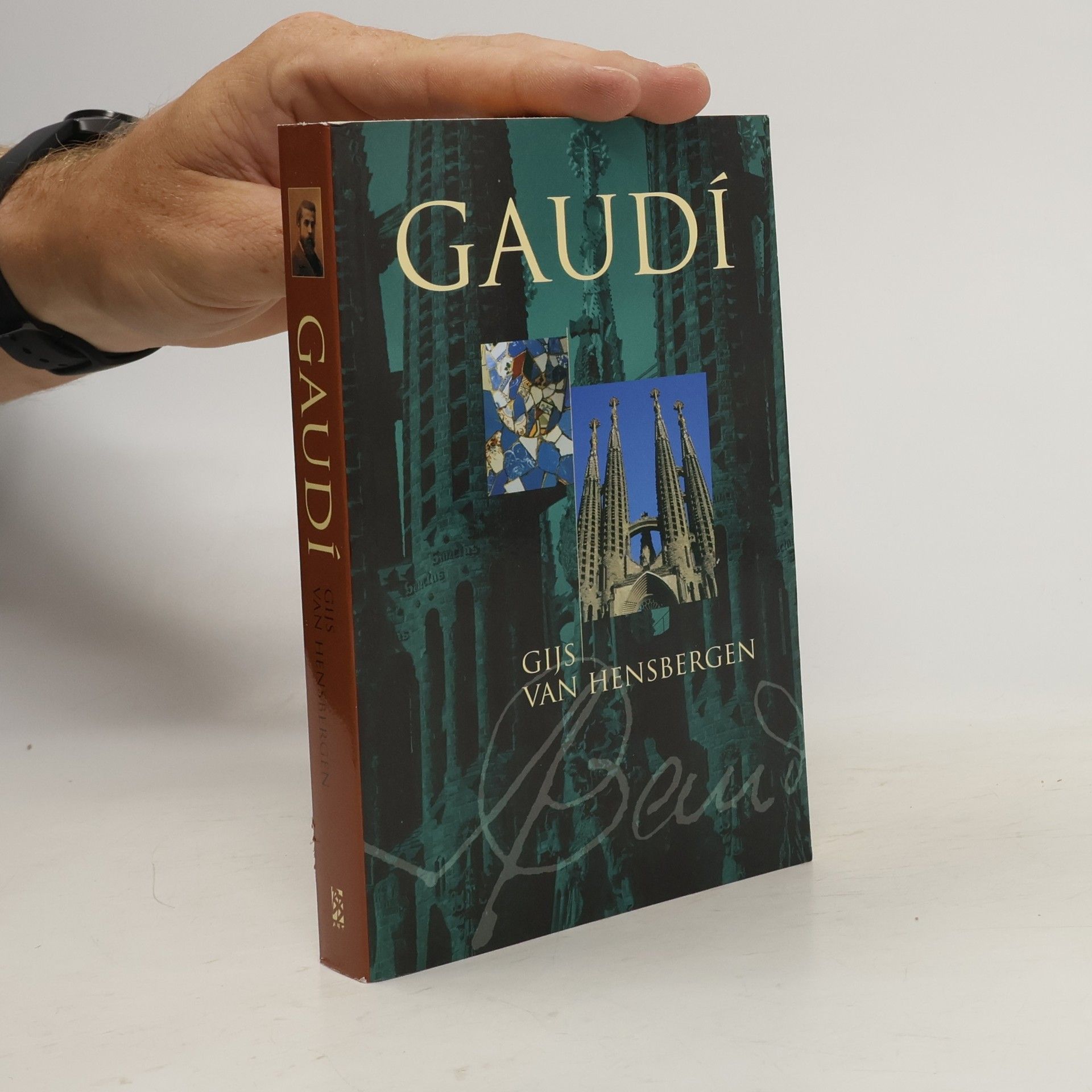 Gijs van Hensbergen Gaudí