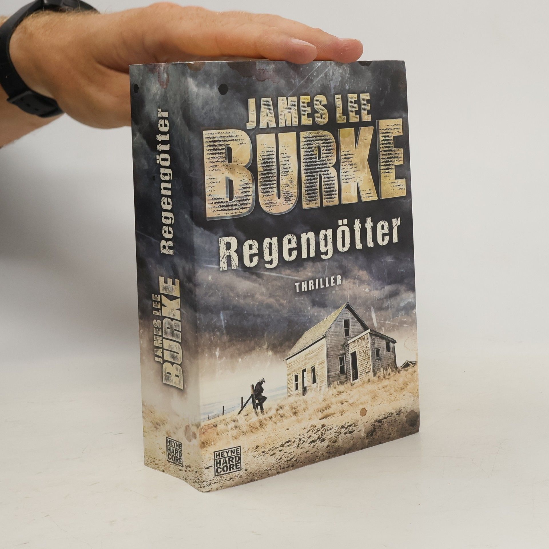 James Lee Burke Regengötter