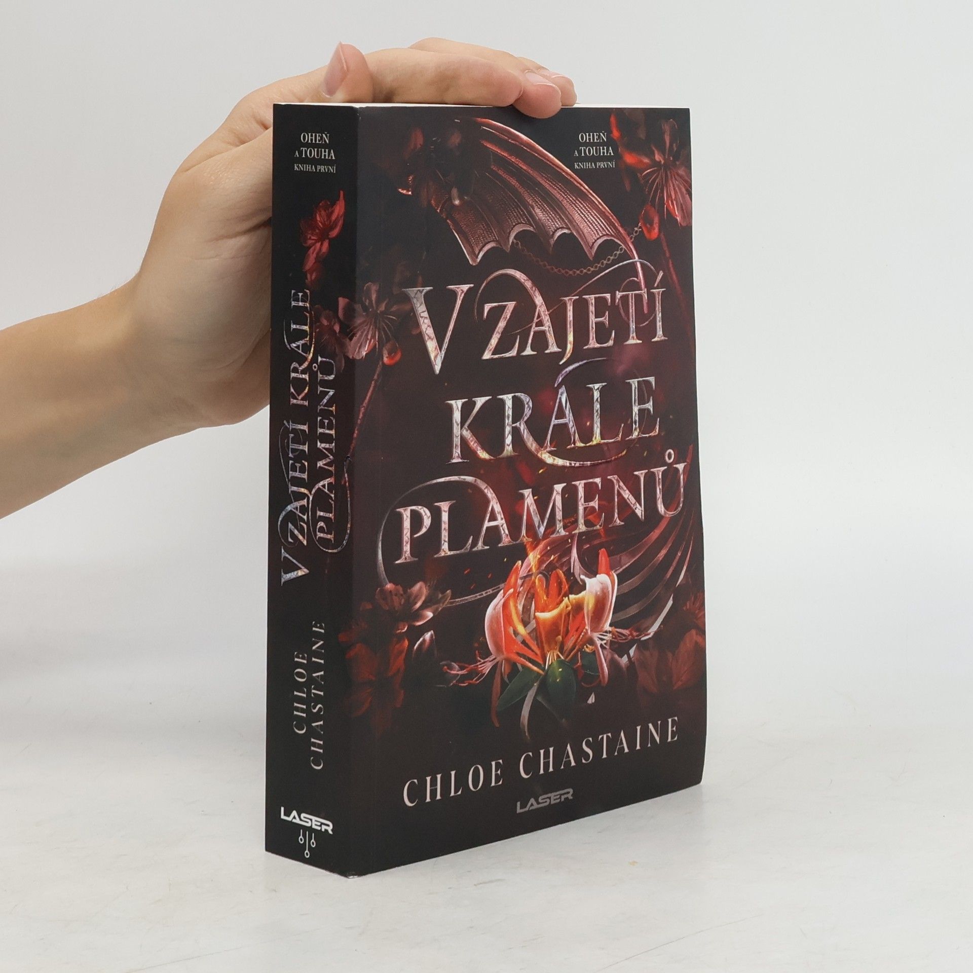Chloe Chastaine V zajetí krále plamenů