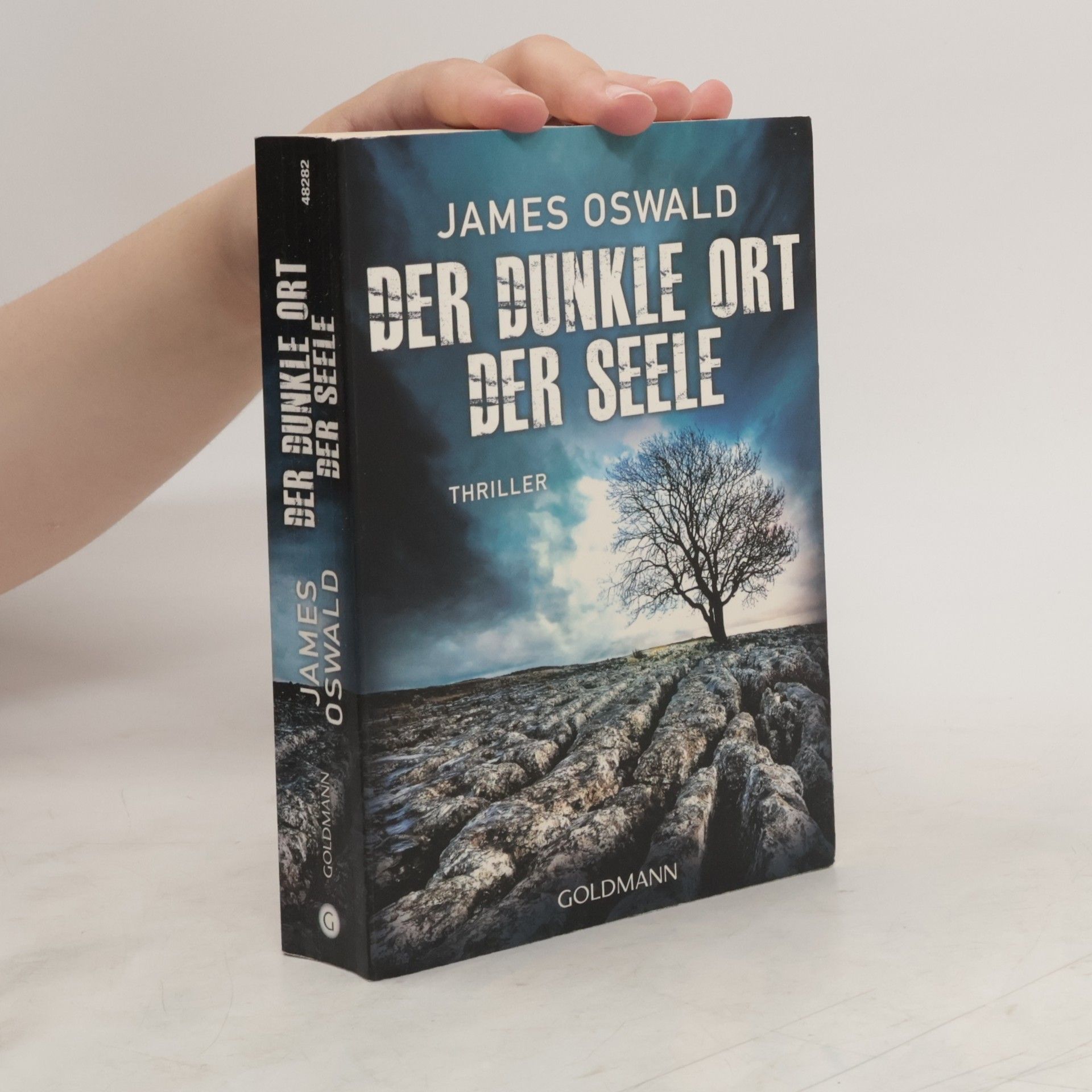 James Oswald Der dunkle Ort der Seele