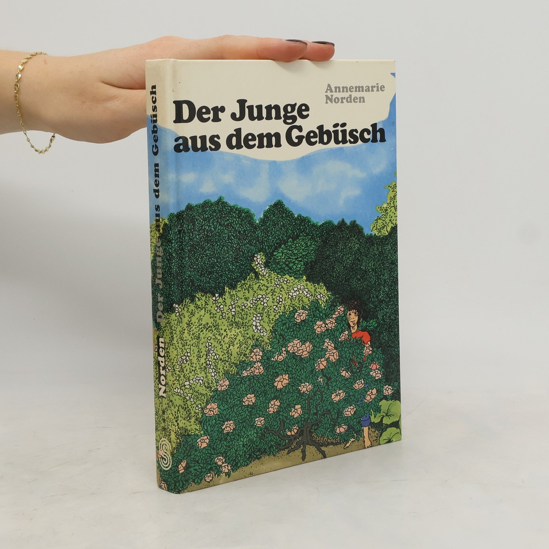 Annemarie Norden Der Junge aus dem Gebüsch