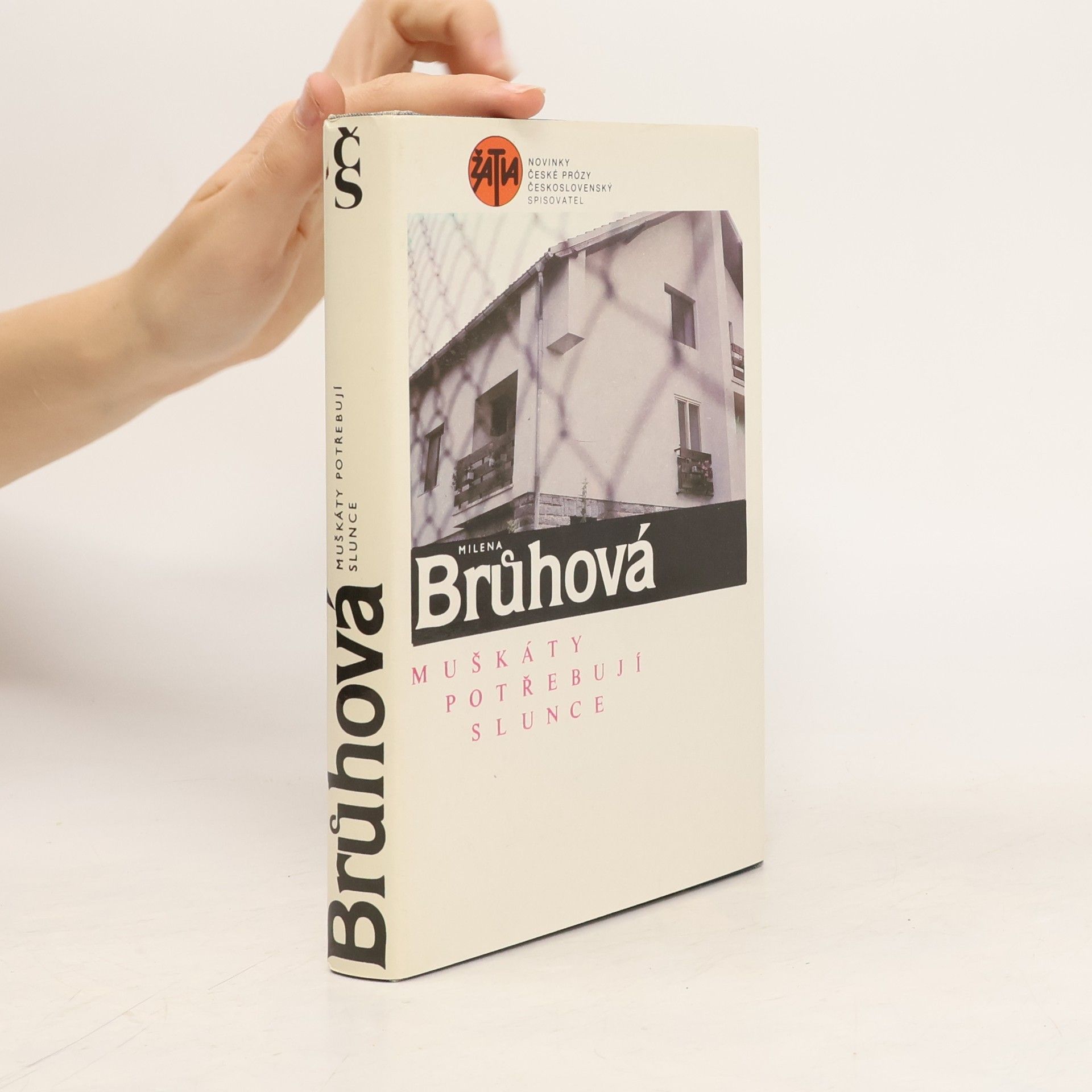 Milena Brůhová Muškáty potřebují slunce