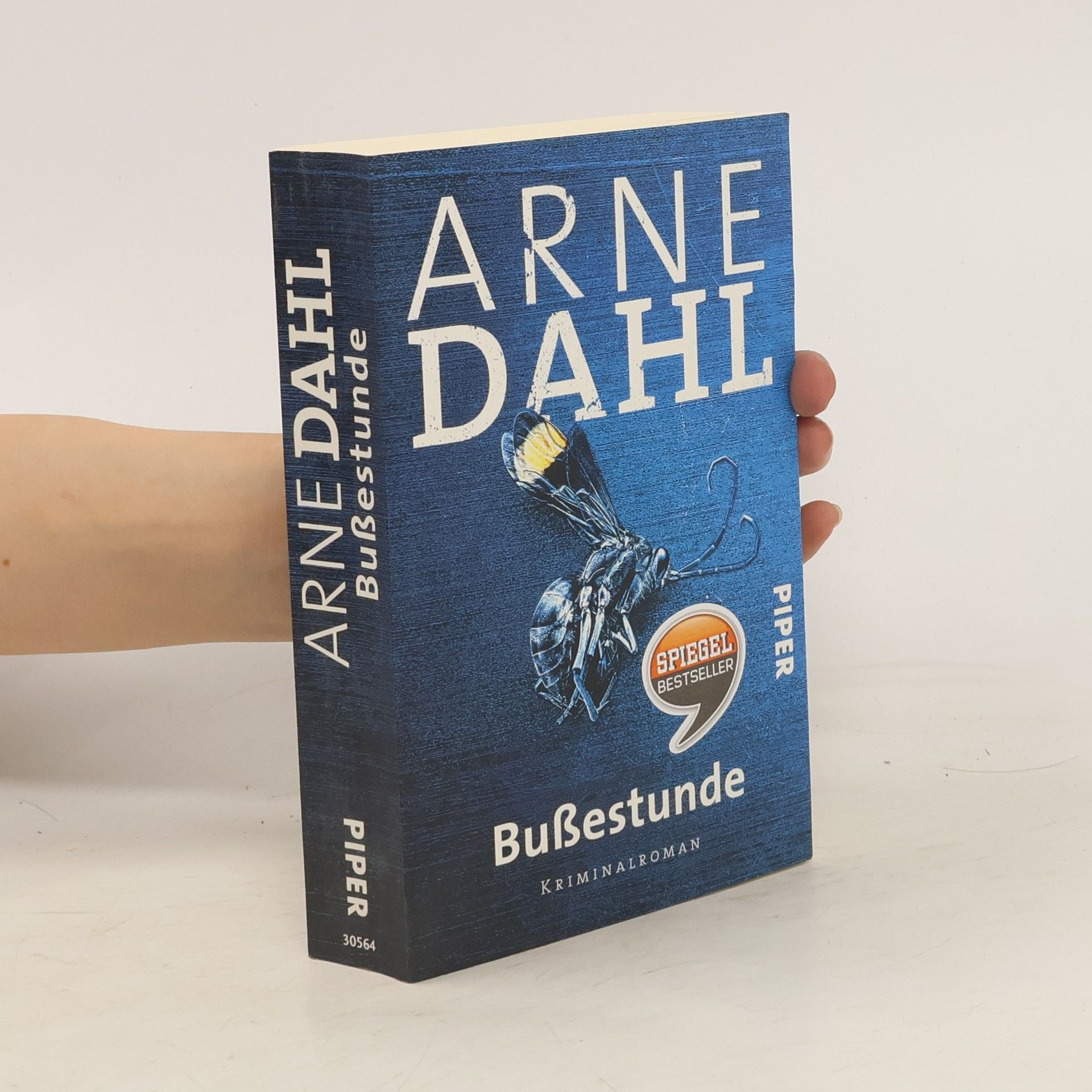 Arne Dahl Bußestunde
