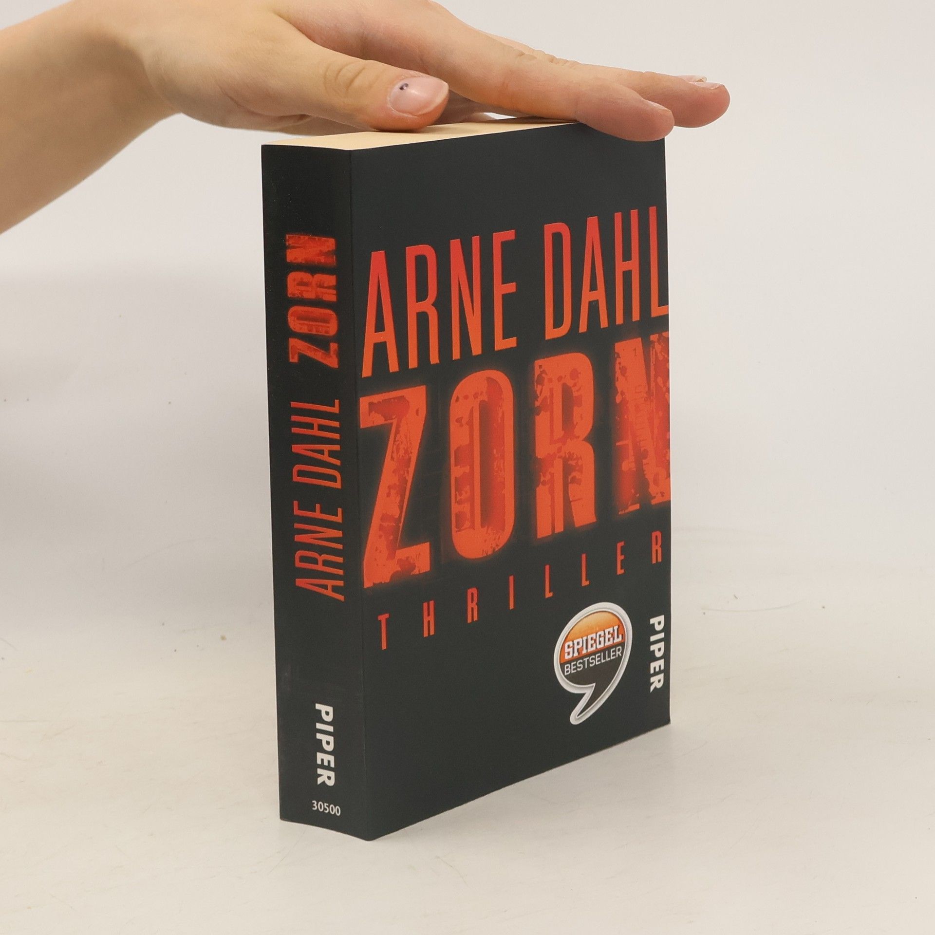 Arne Dahl Zorn: thriller