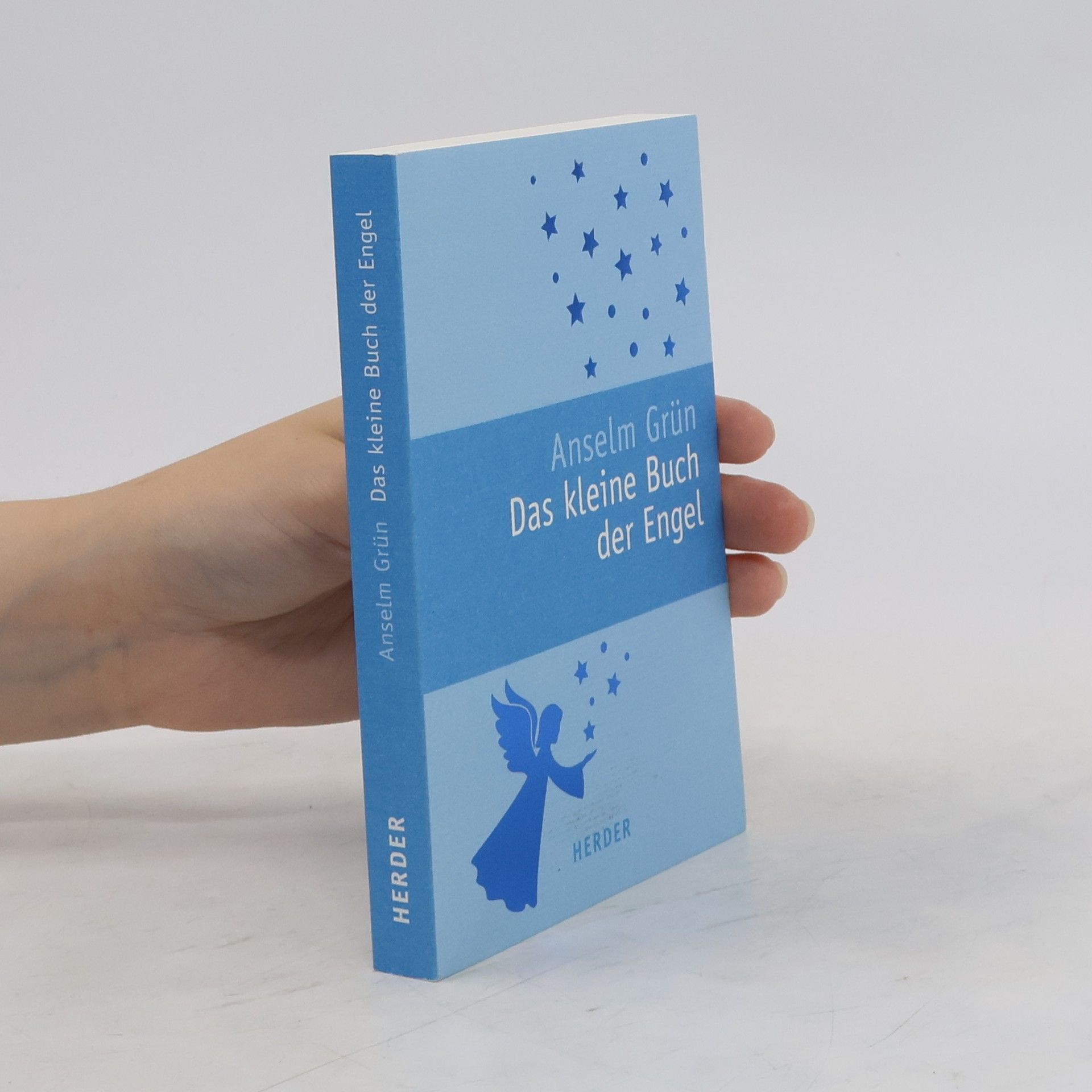 Anselm Grün Das kleine Buch der Engel. Wünsche, die von Herzen kommen