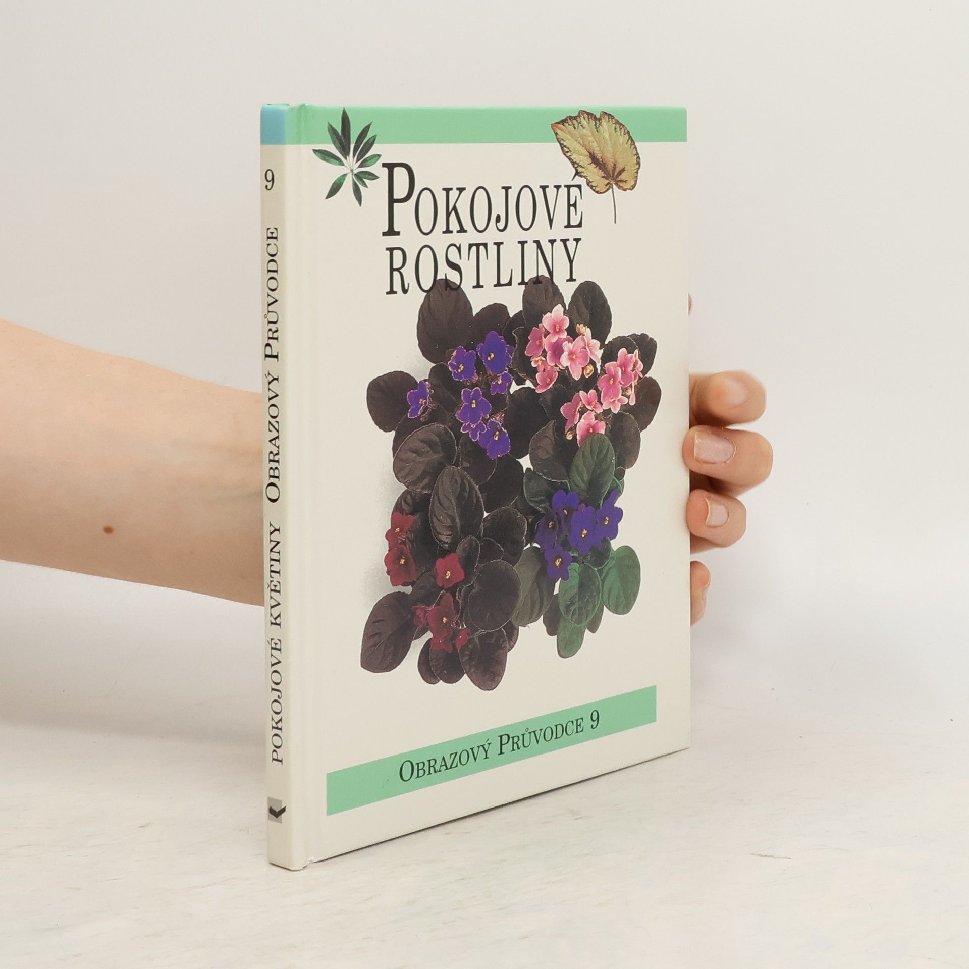 Magdalena Pechová Pokojové rostliny