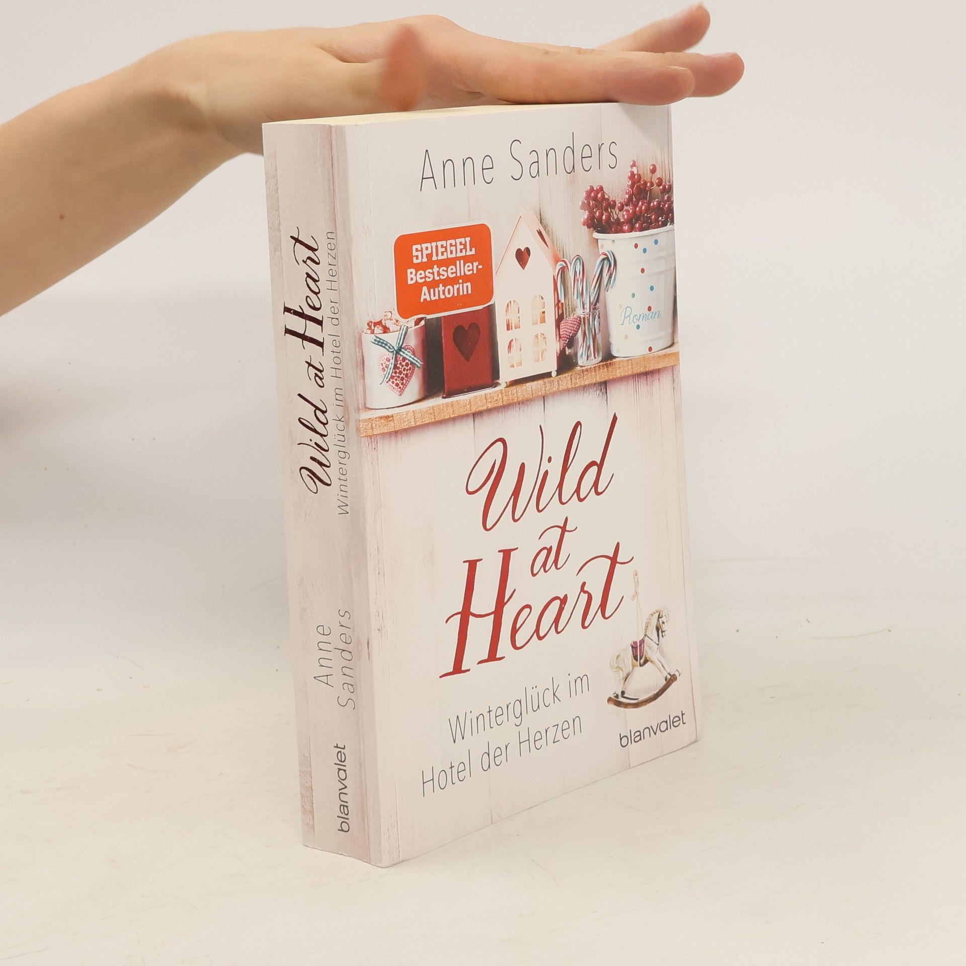 Anne Sanders Wild at heart - Winterglück im Hotel der Herzen
