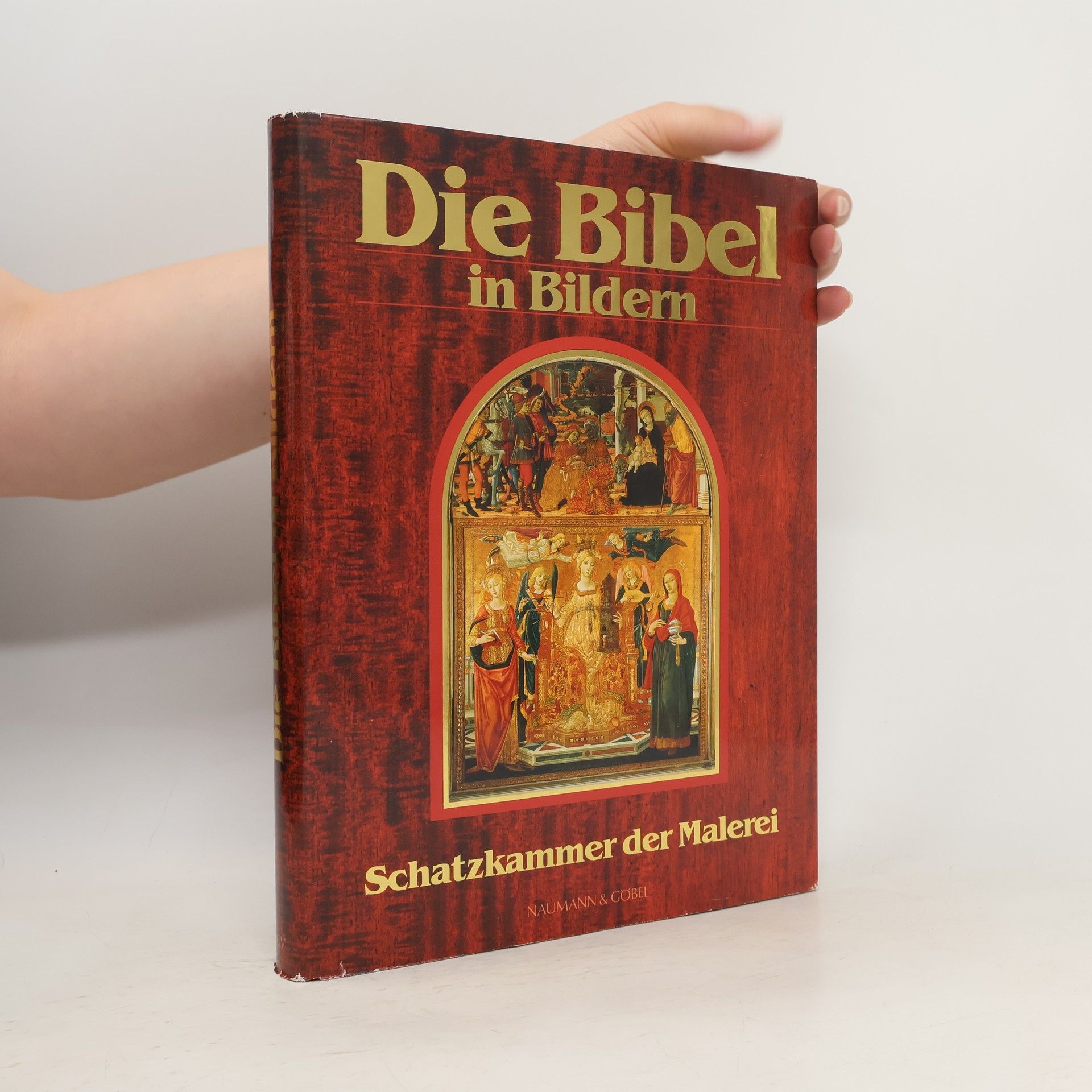 Autorenkollektiv Die Bibel in Bildern. Schatzkammer der Malerei