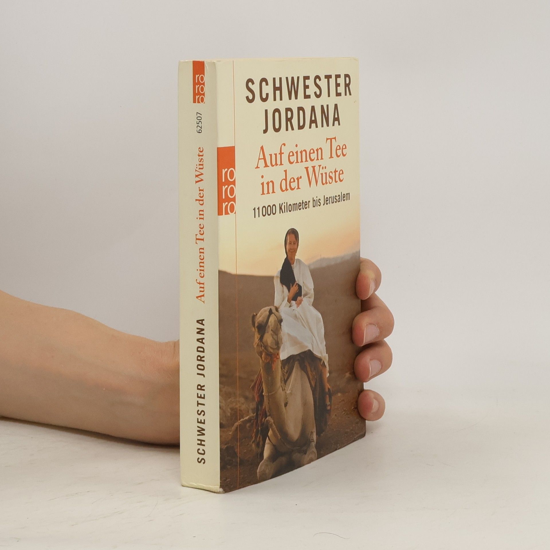 Iris Rohmann Auf einen Tee in der Wüste