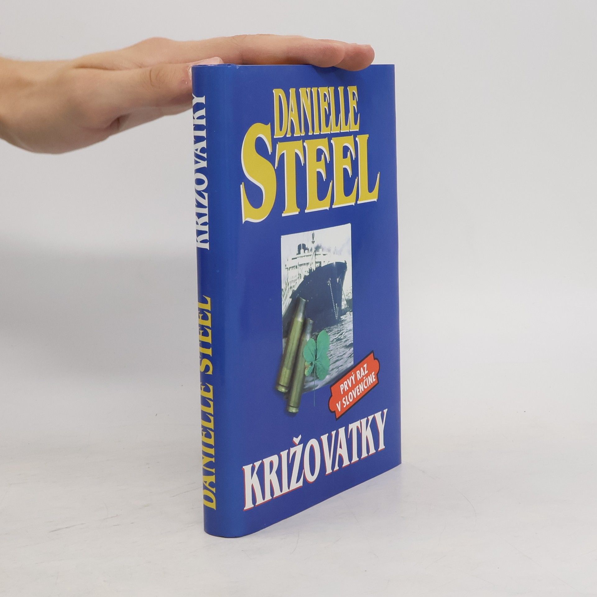 Danielle Steel Križovatky