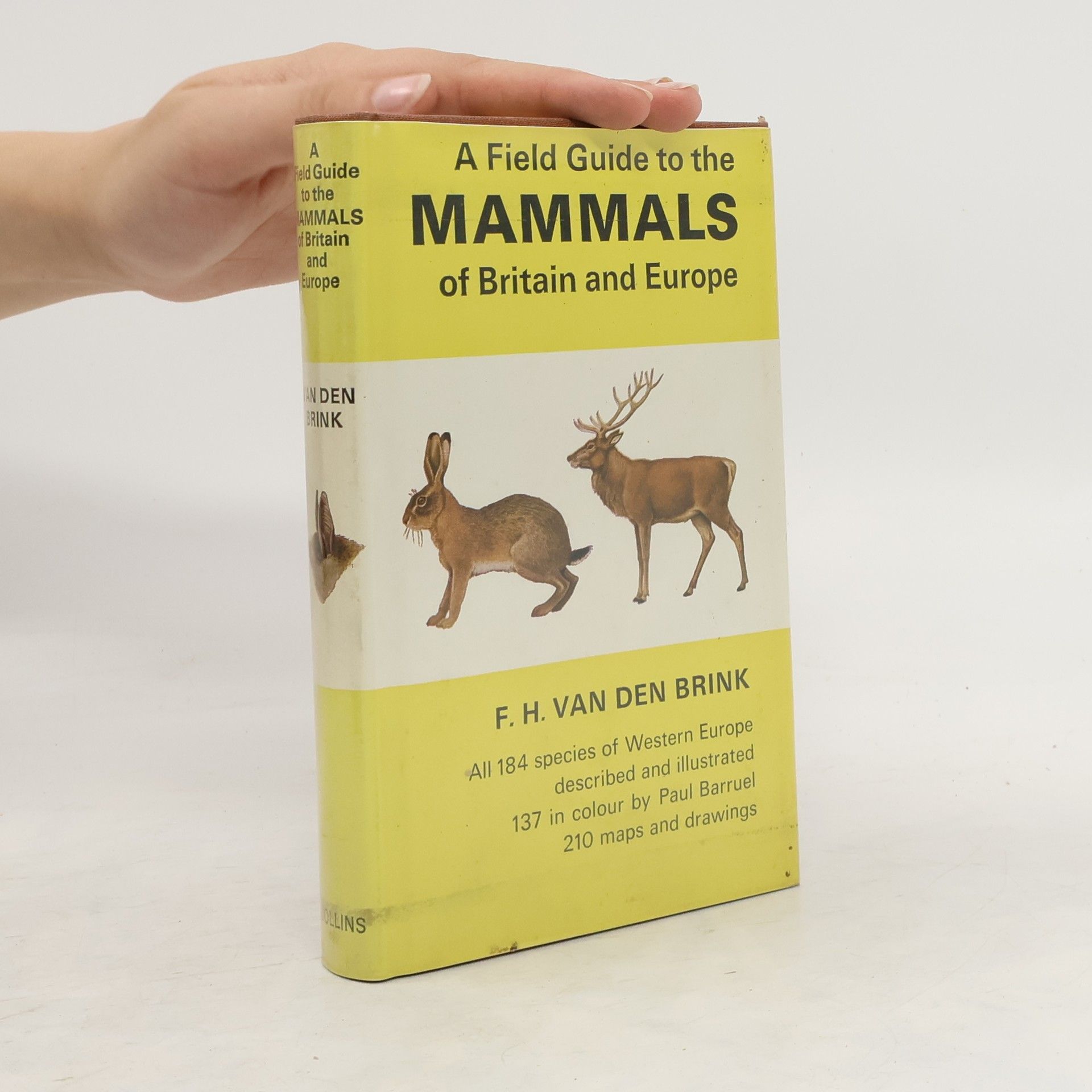F. H. van den Brink A Field Guide to the Mammals of Britain and Europe