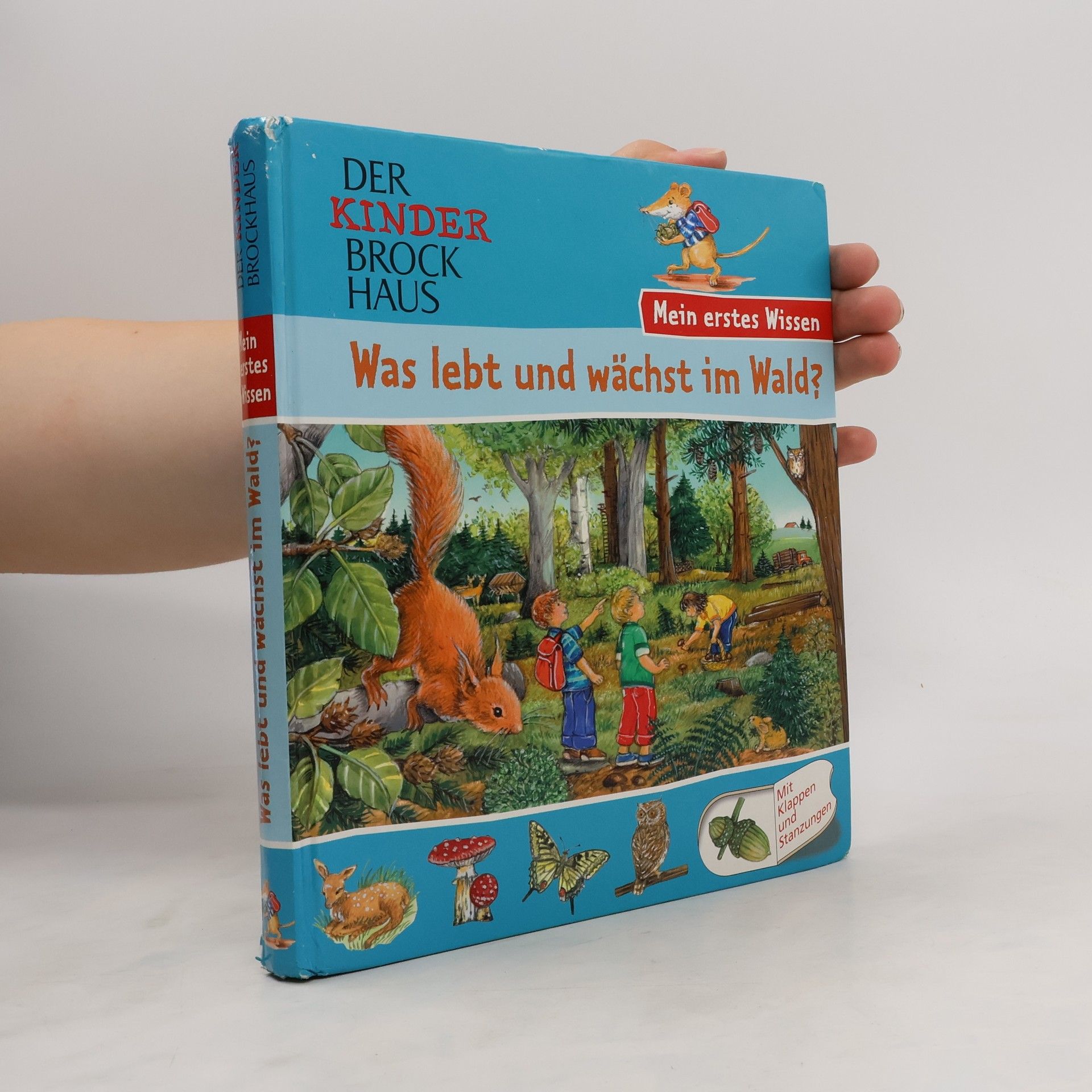 Kirsten Preuss was lebt und wächst im Wald