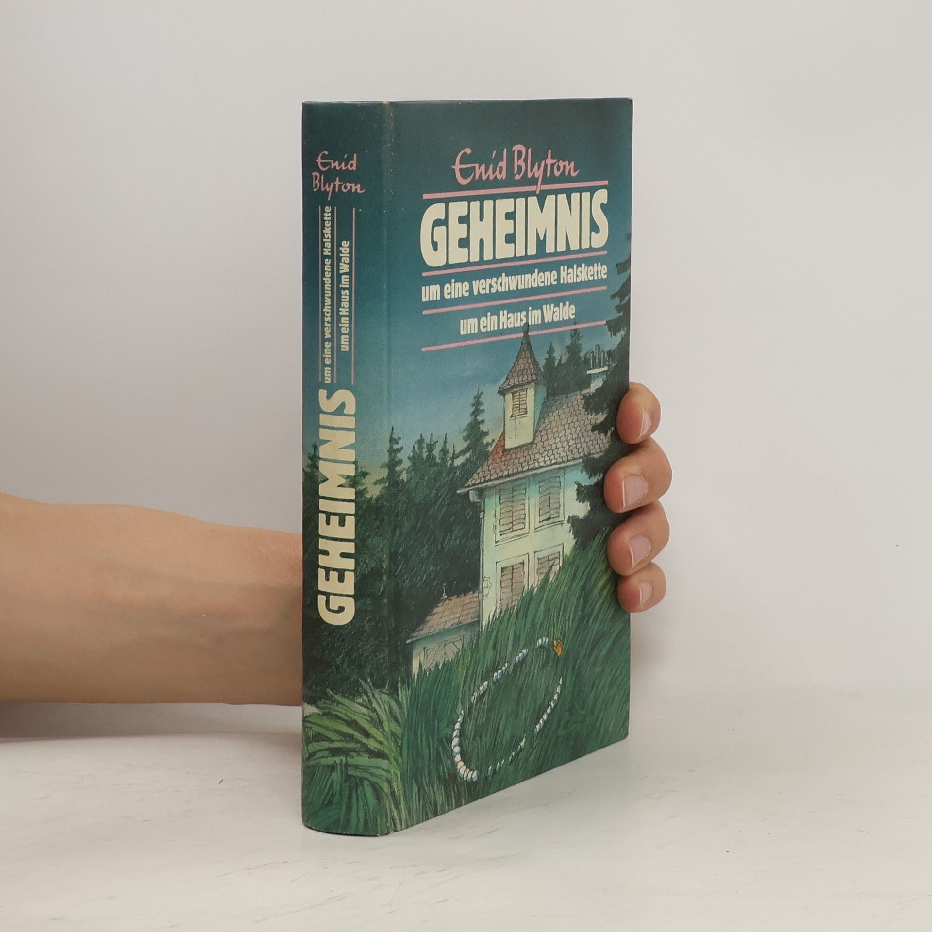 Enid Blyton Geheimnis um eine verschwundene Halskette um ein Haus im Walde