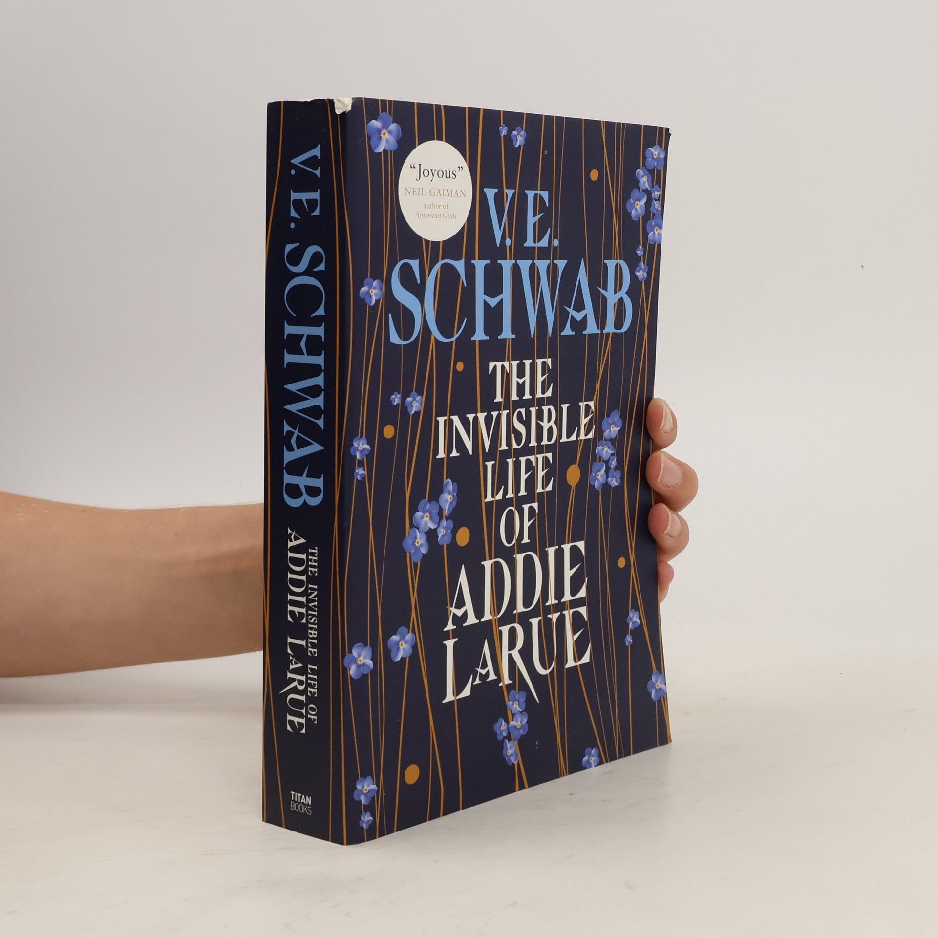 Victoria Schwab The Invisible Life of Addie LaRue