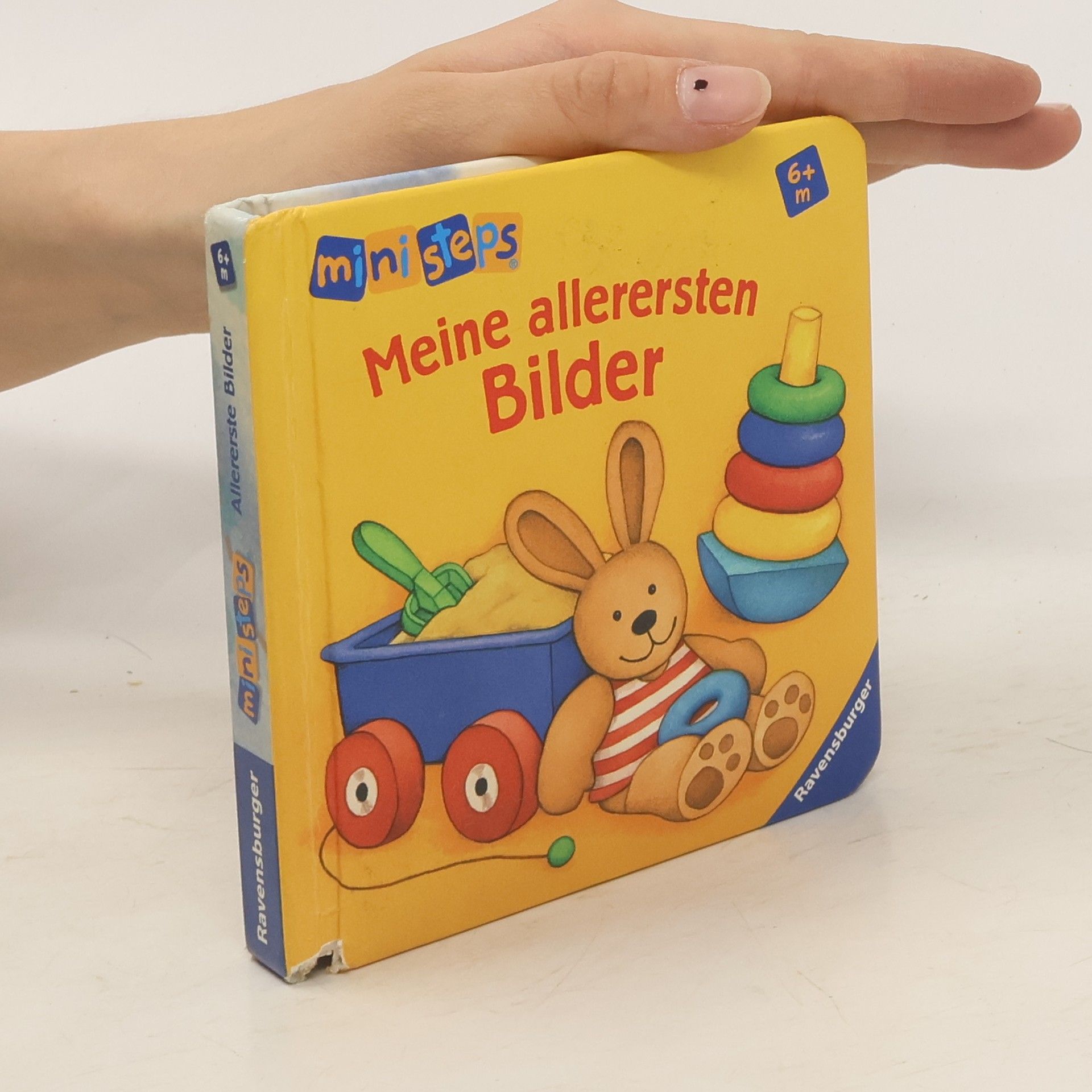 Klaus Bliesener Meine allerersten Bilder. Ab 6 Monaten