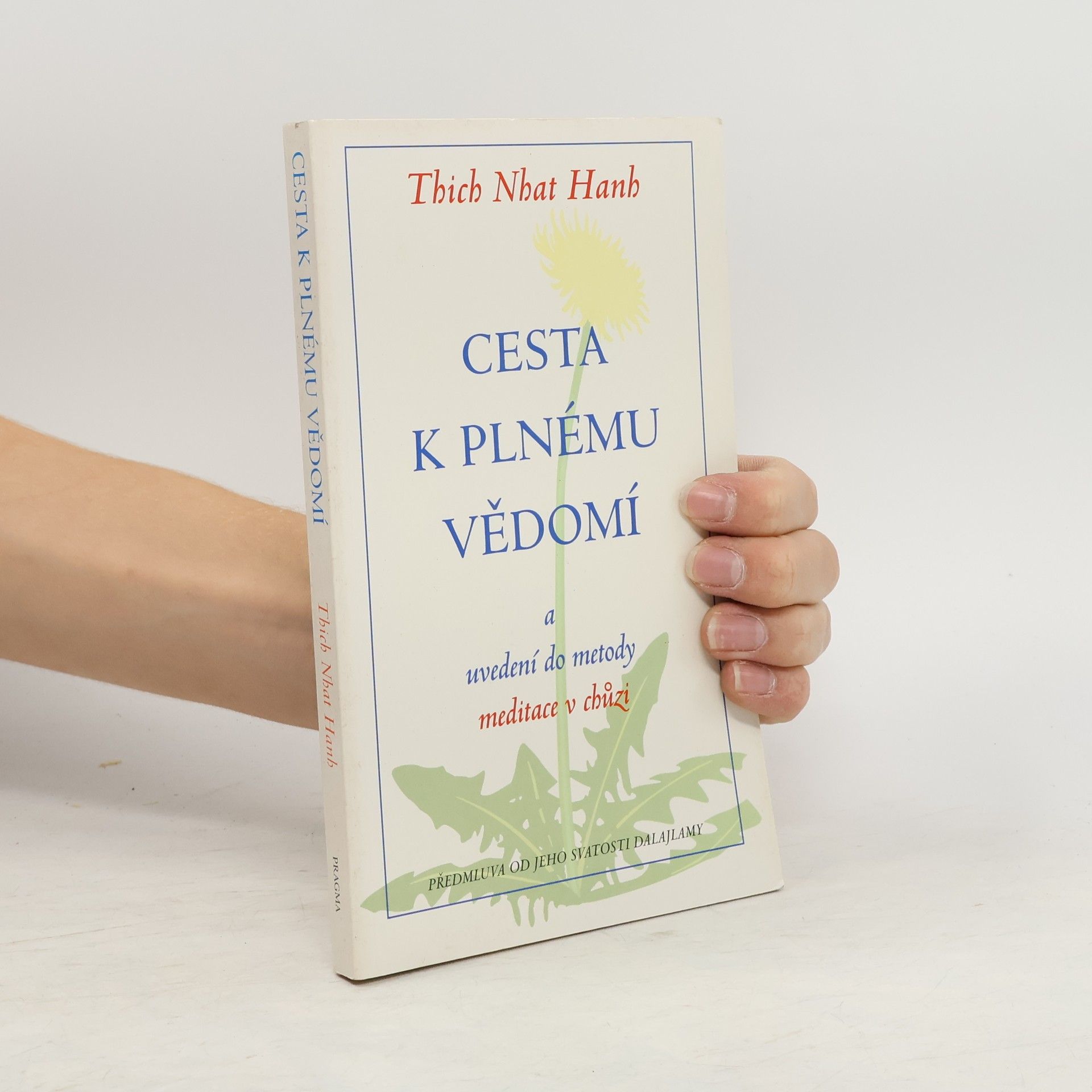 Otto Jeřábek Cesta k plnému vědomí a uvedení do metody meditace v chůzi