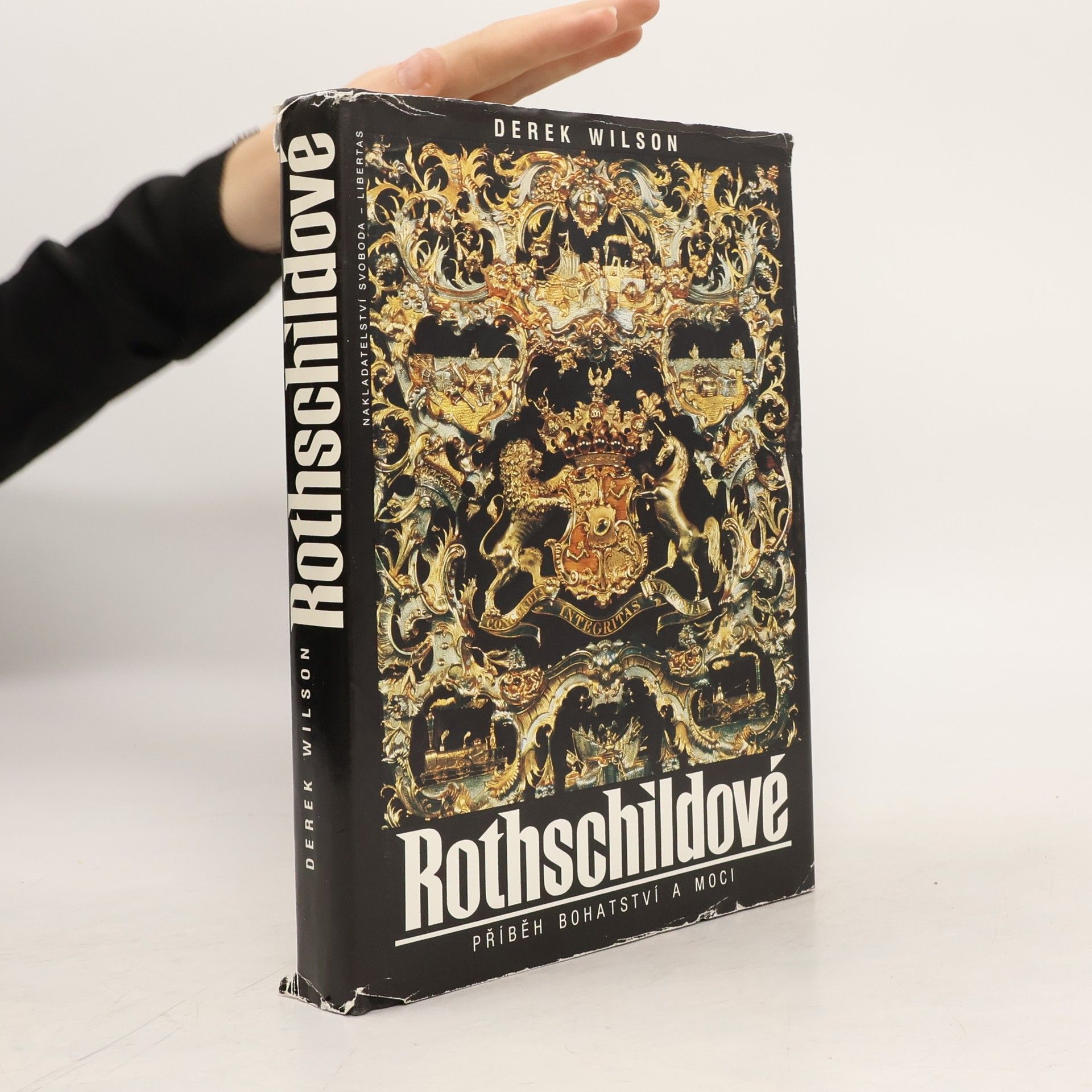 Derek Wilson Rothschildové. Příběh bohatství a moci