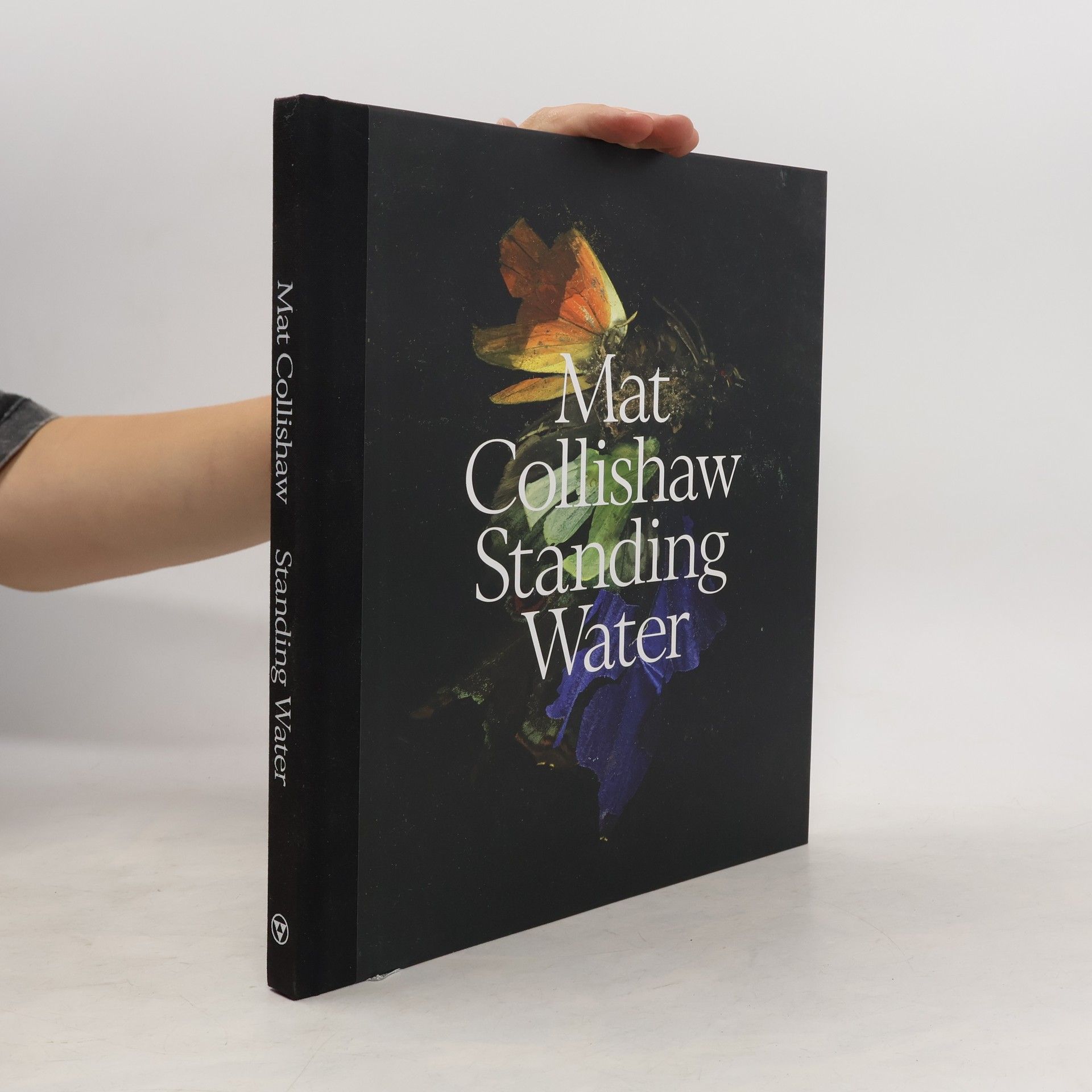 Mat Collishaw Mat Collishaw: Standing water