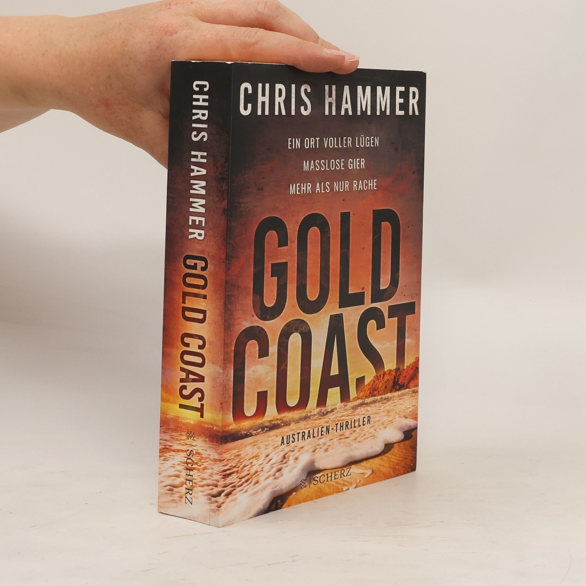 Chris Hammer Gold Coast - Ein Ort voller Lügen. Maßlose Gier. Mehr als nur Rache