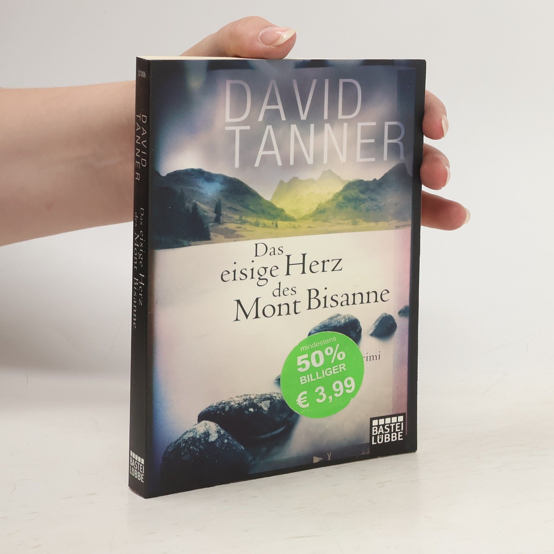 David Tanner Das eisige Herz des Mont Bisanne