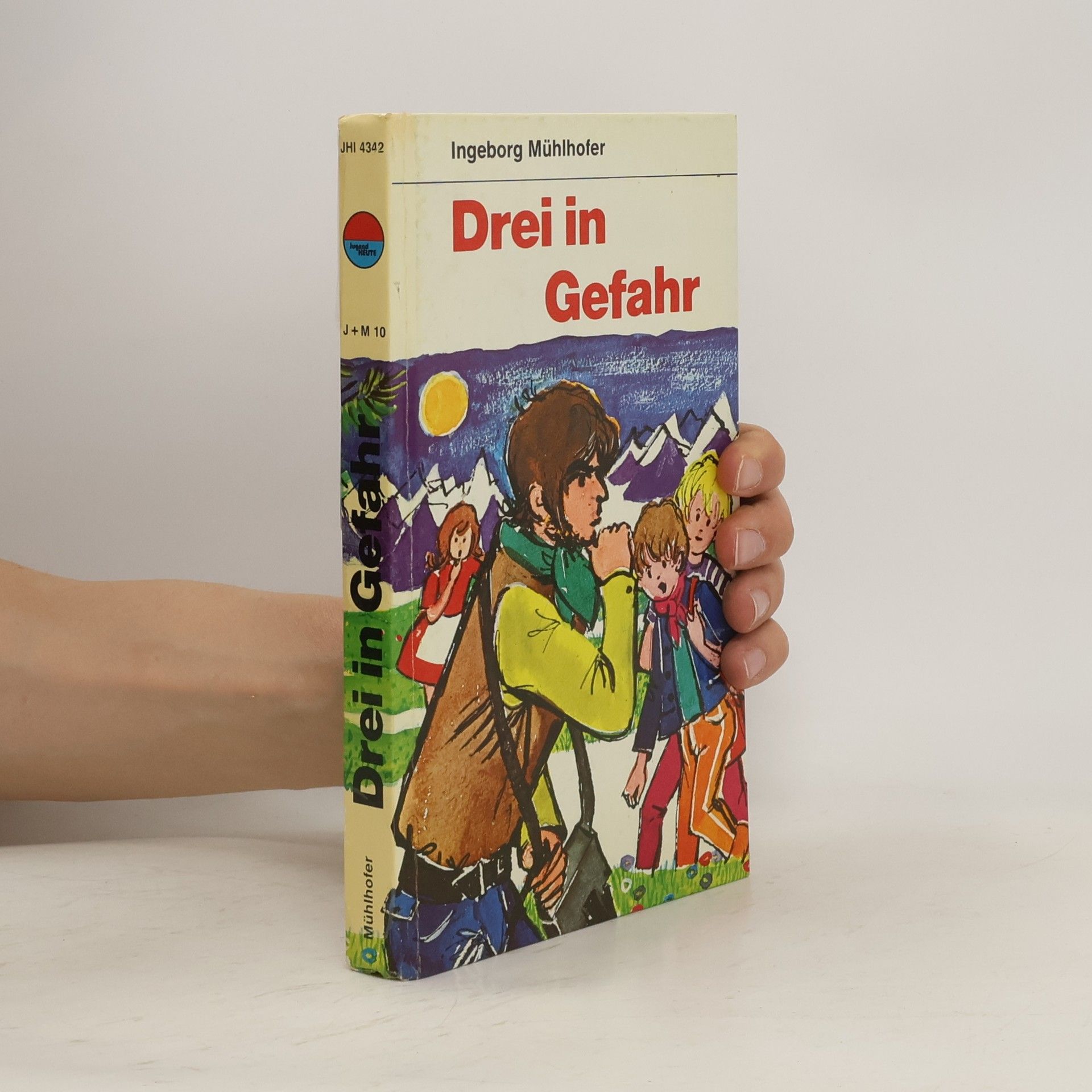 Ingeborg Mühlhofer Drei in Gefahr