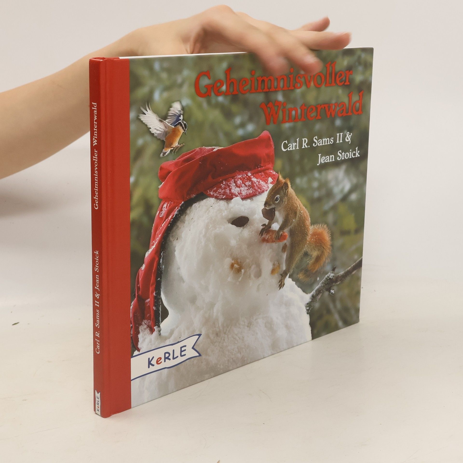 Carl R. Sams Geheimnisvoller Winterwald