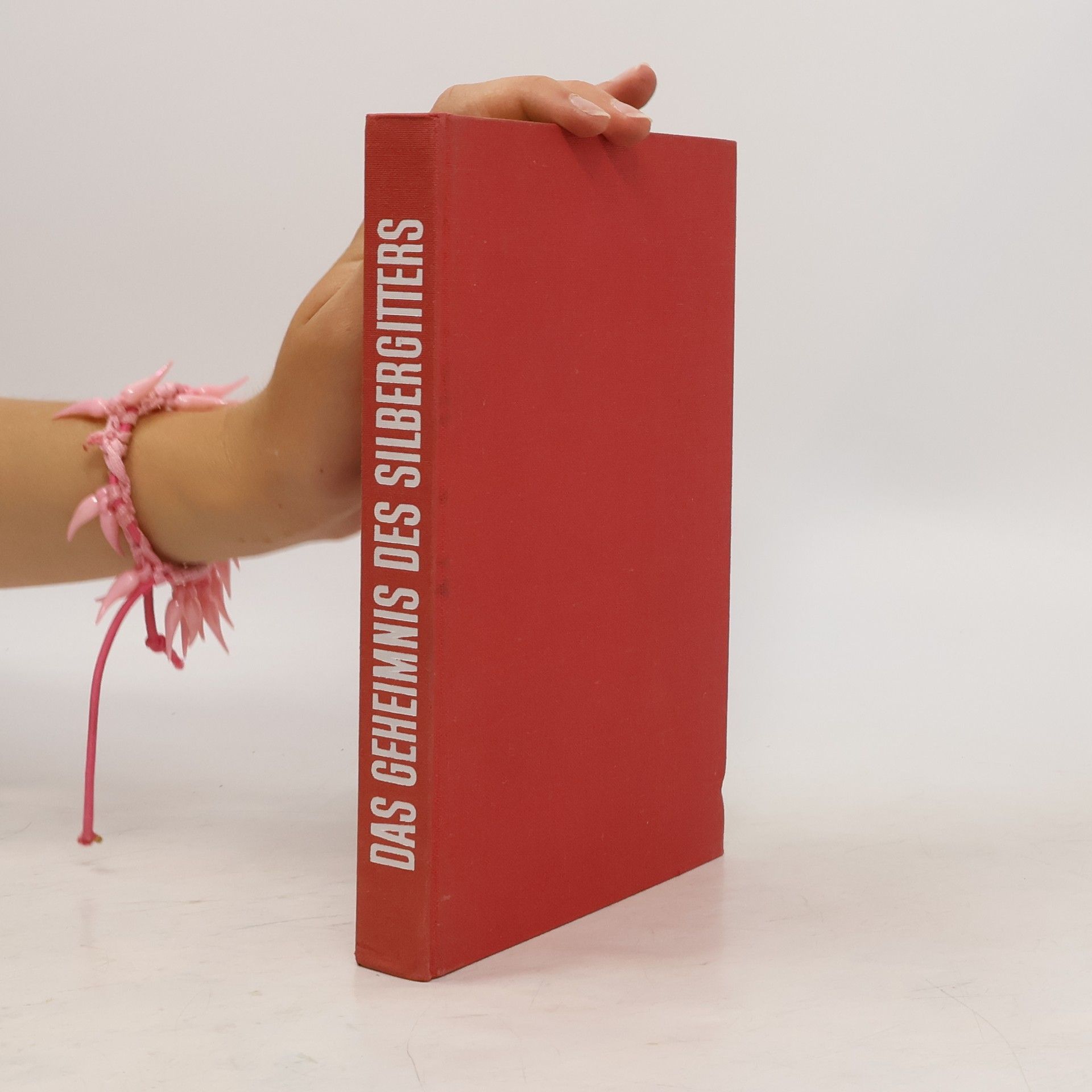 Das Geheimnis des Silbergitters