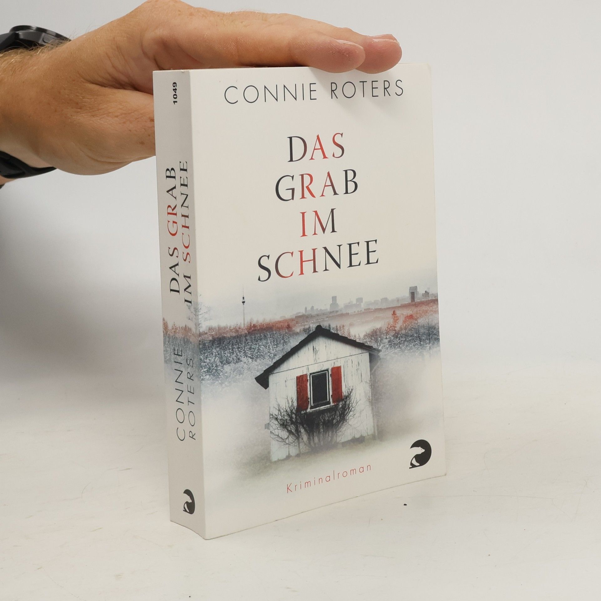 Connie Roters Das Grab im Schnee