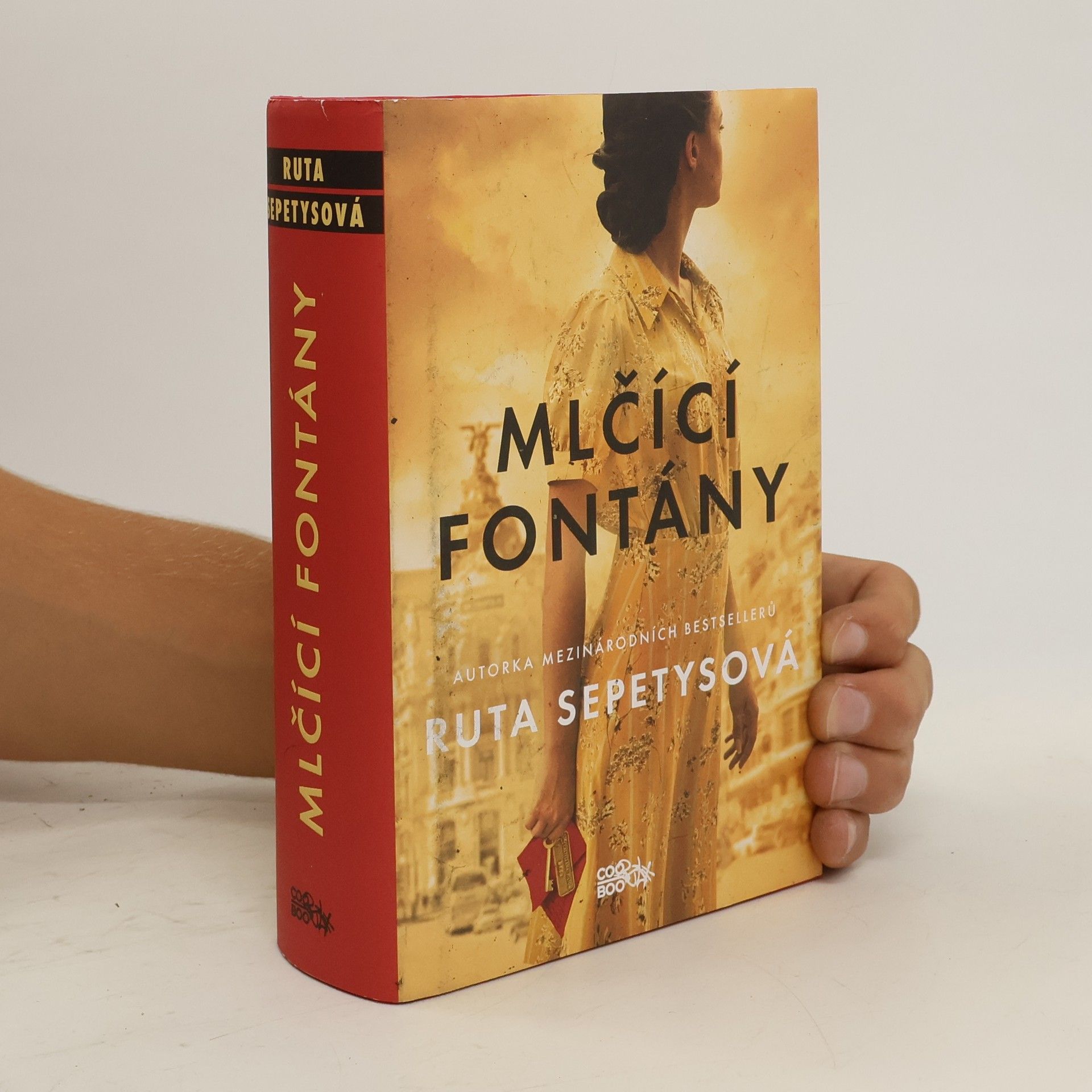 Ruta Sepetysová Mlčící fontány