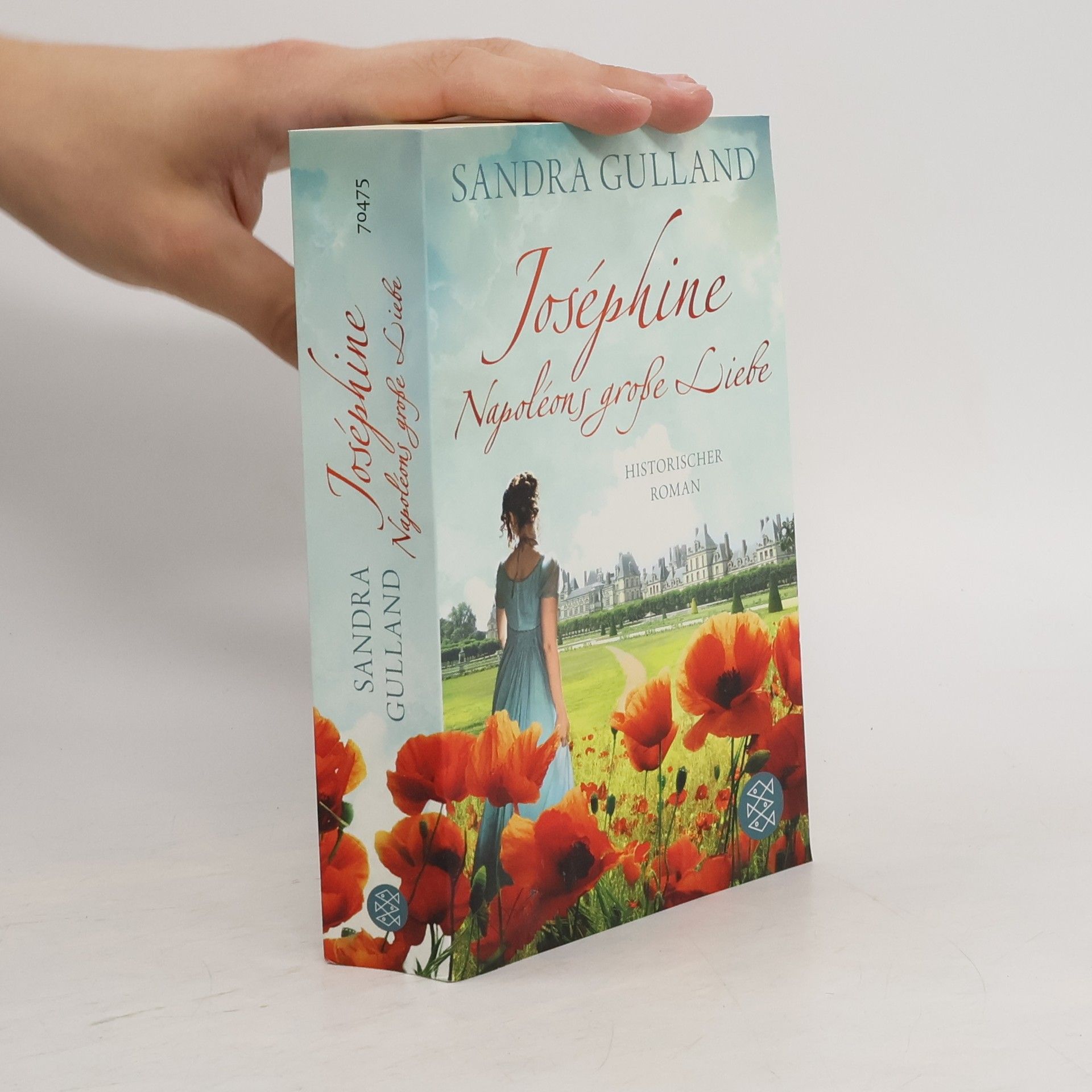 Sandra Gulland Joséphine - Napoléons große Liebe