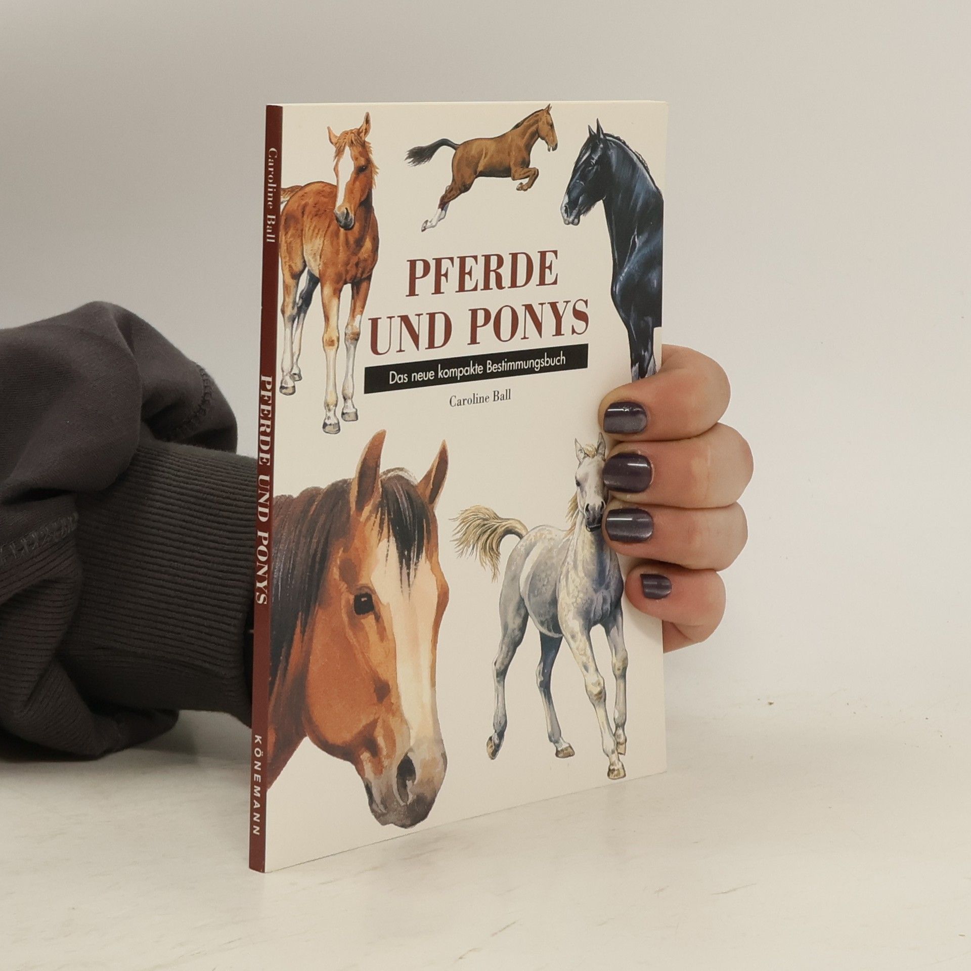 Caroline Ball Pferde und Ponys