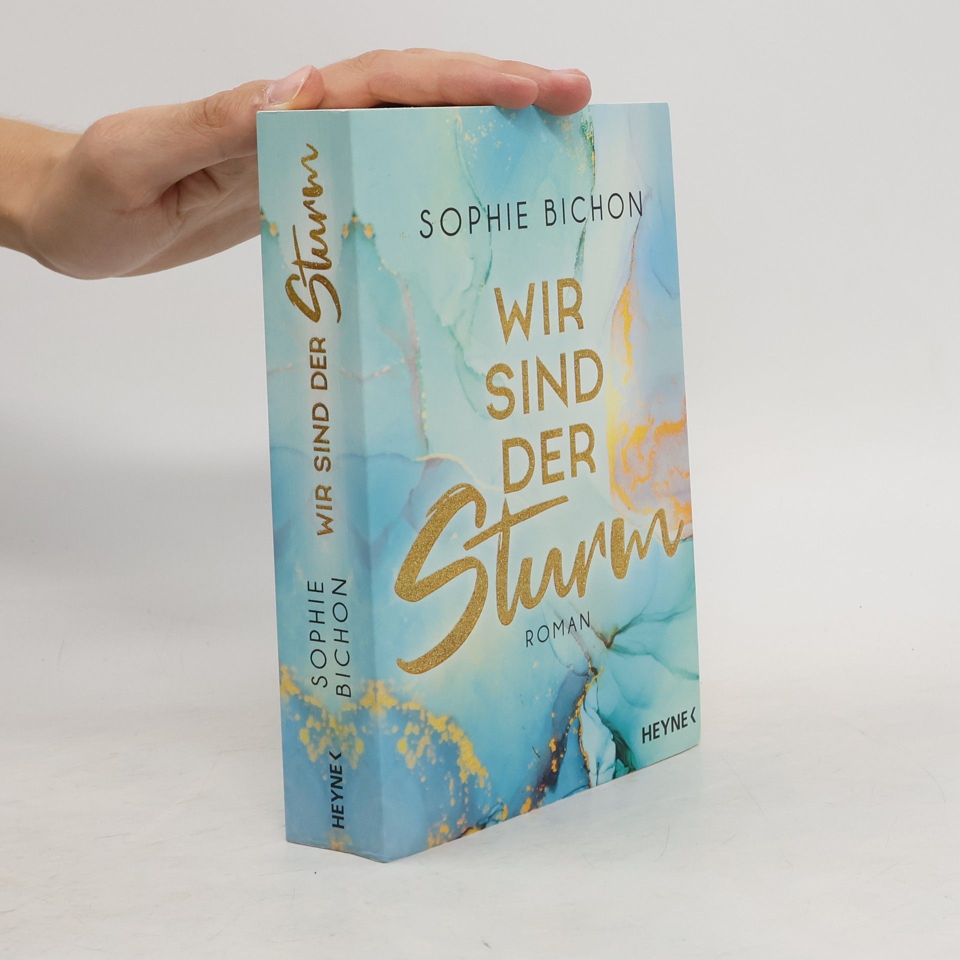 Sophie Bichon Wir sind der Sturm
