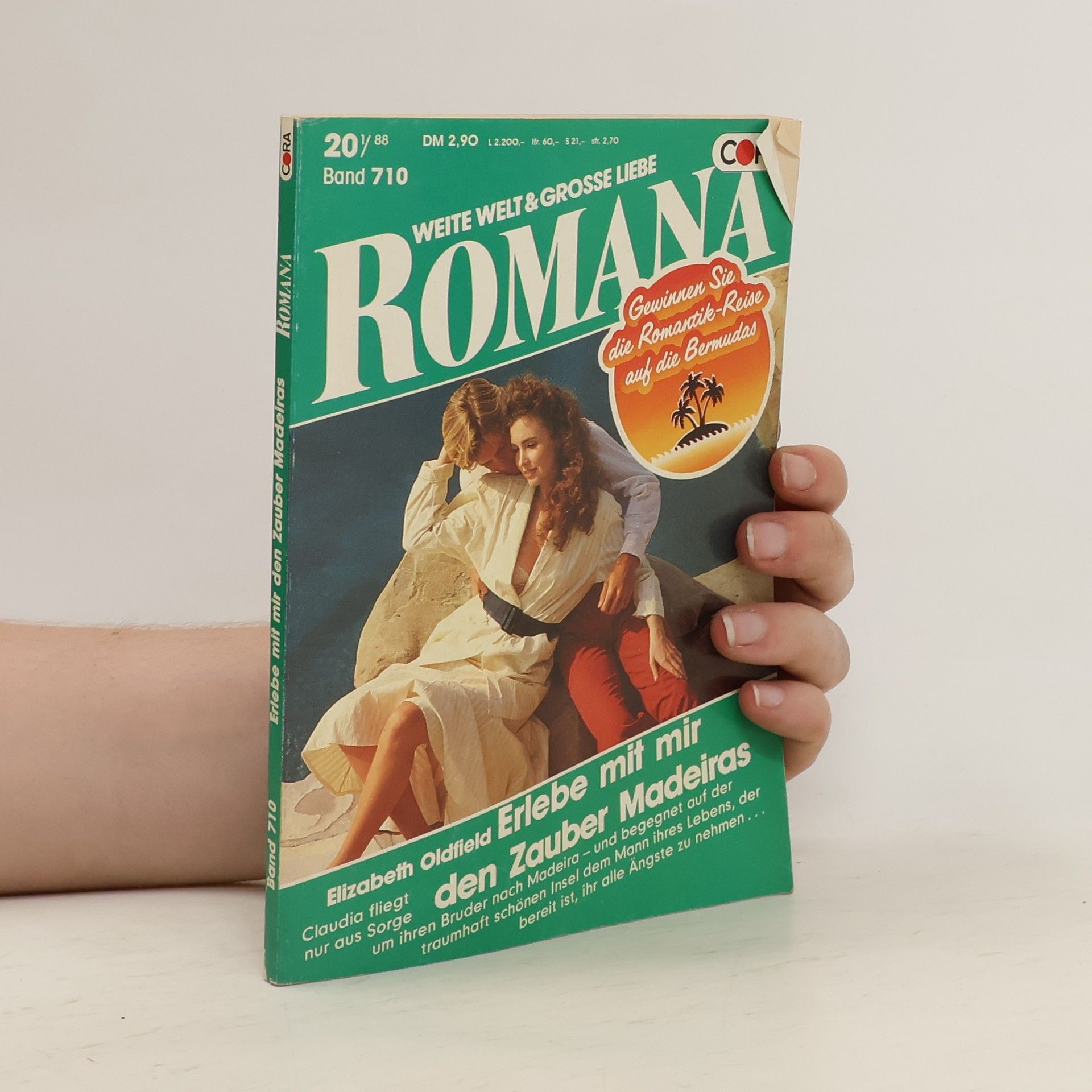 Elizabeth Oldfield Weite Welt & grosse Liebe Romana 20/88