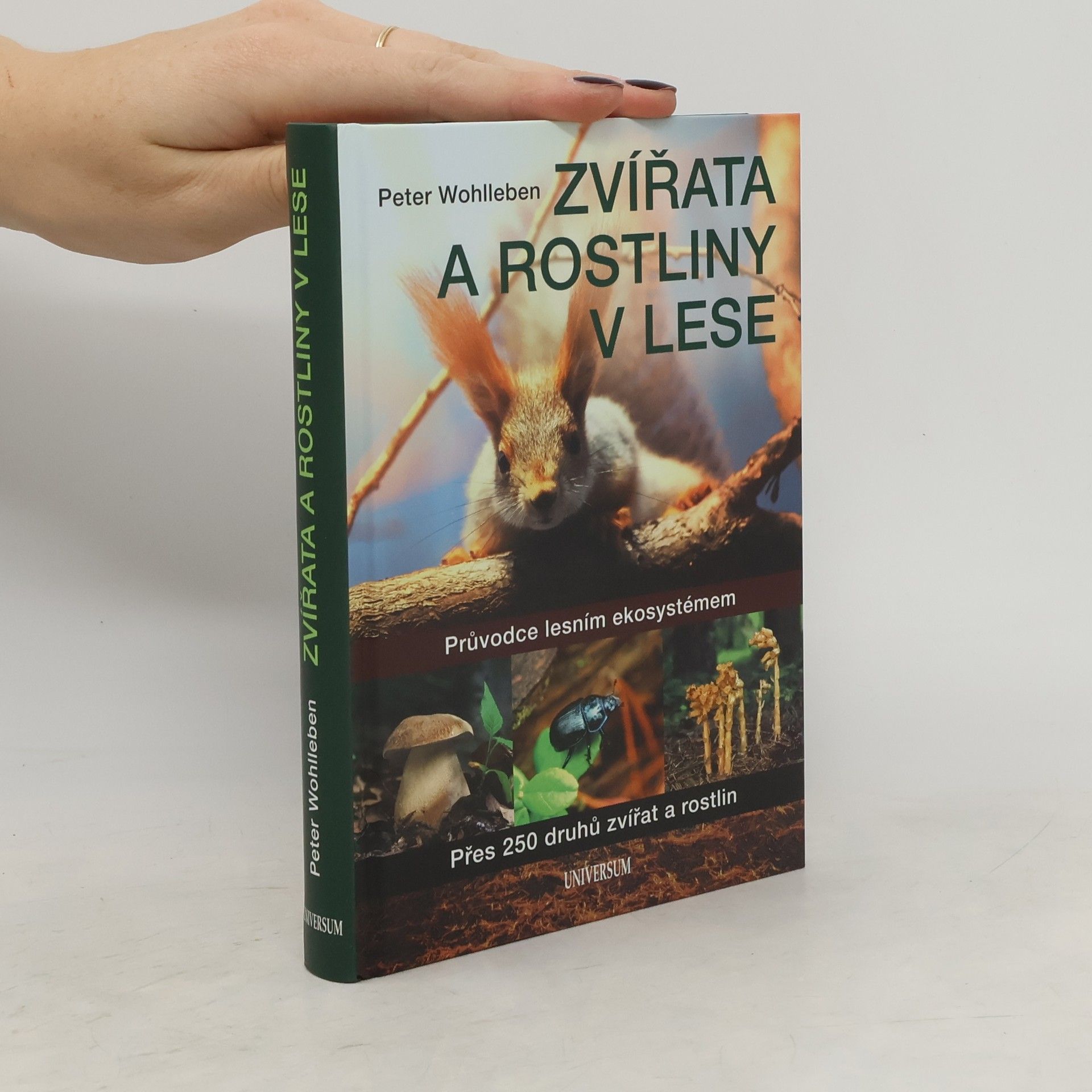 Wohlleben Peter Zvířata a rostliny v lese