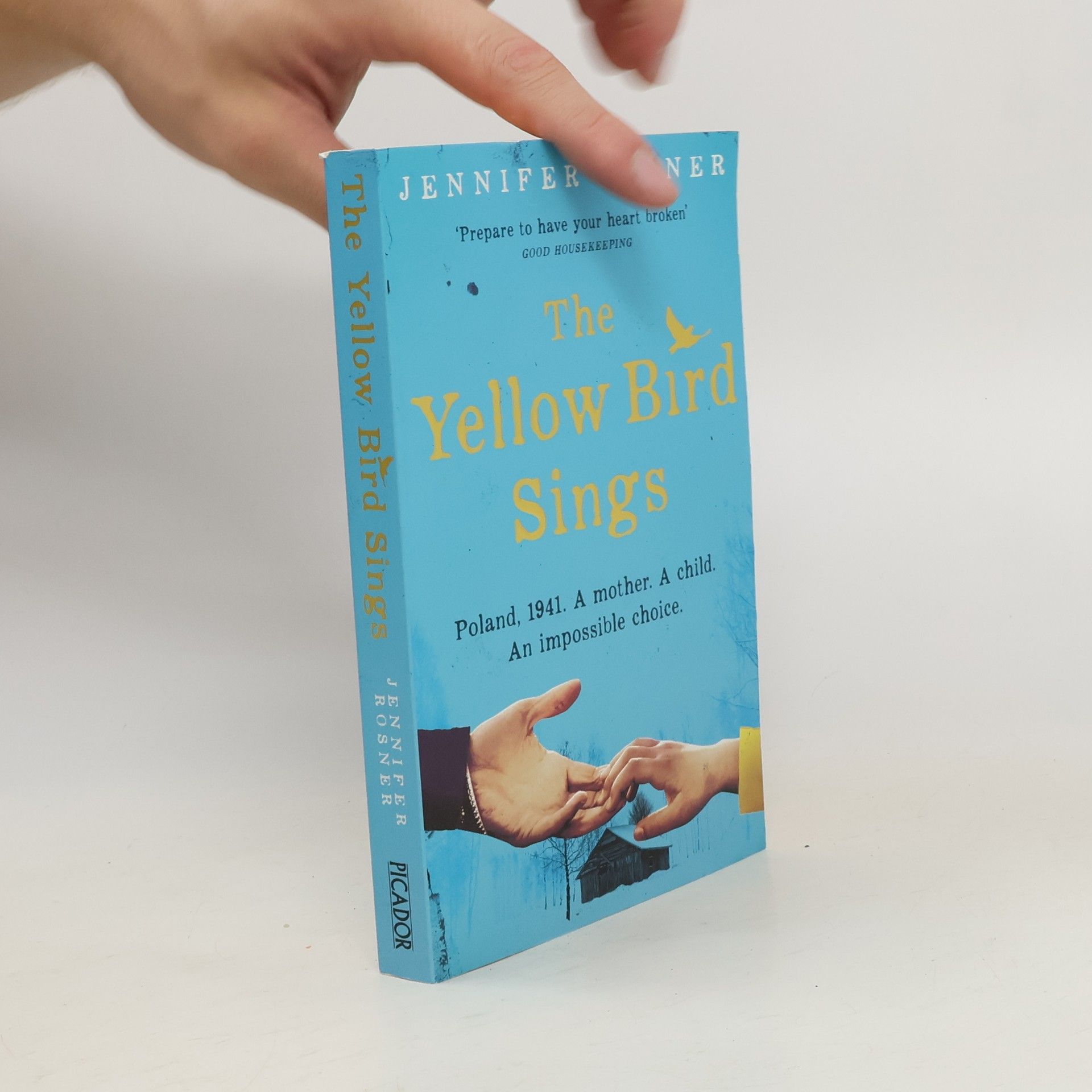 Jennifer Rosner The Yellow Bird Sings