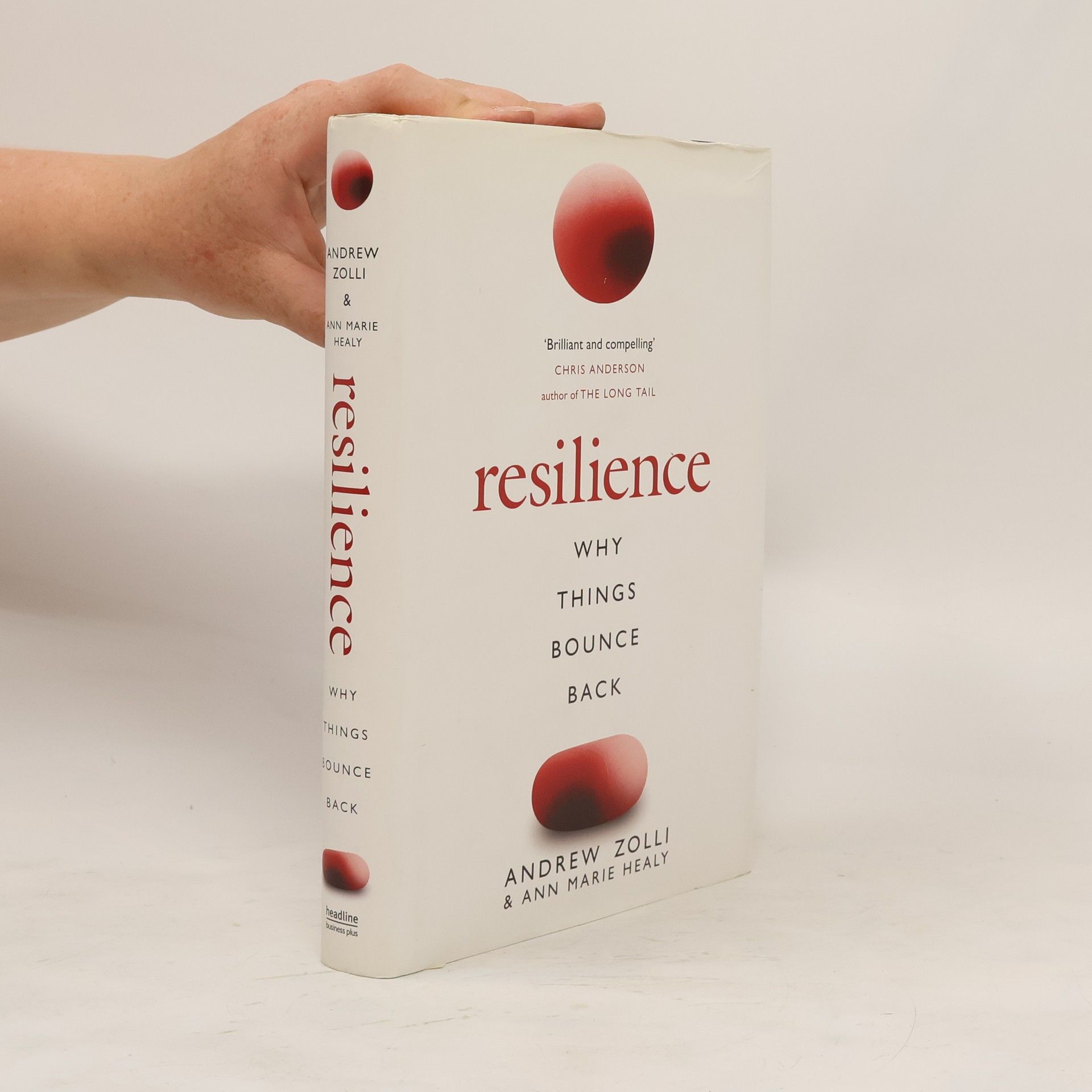 Andrew Zolli Resilience